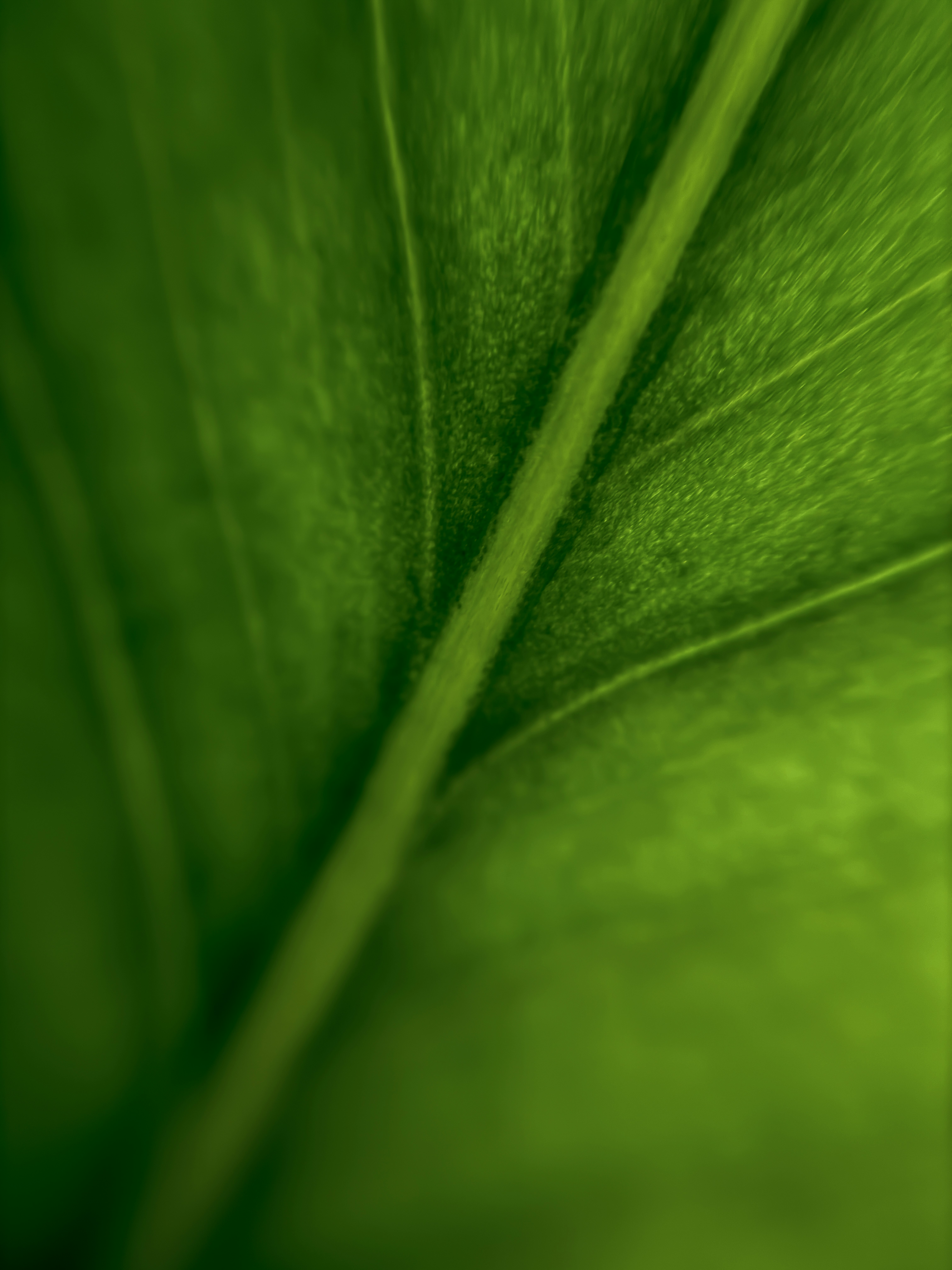 photo-1716404249579-ab590e2b2fbc