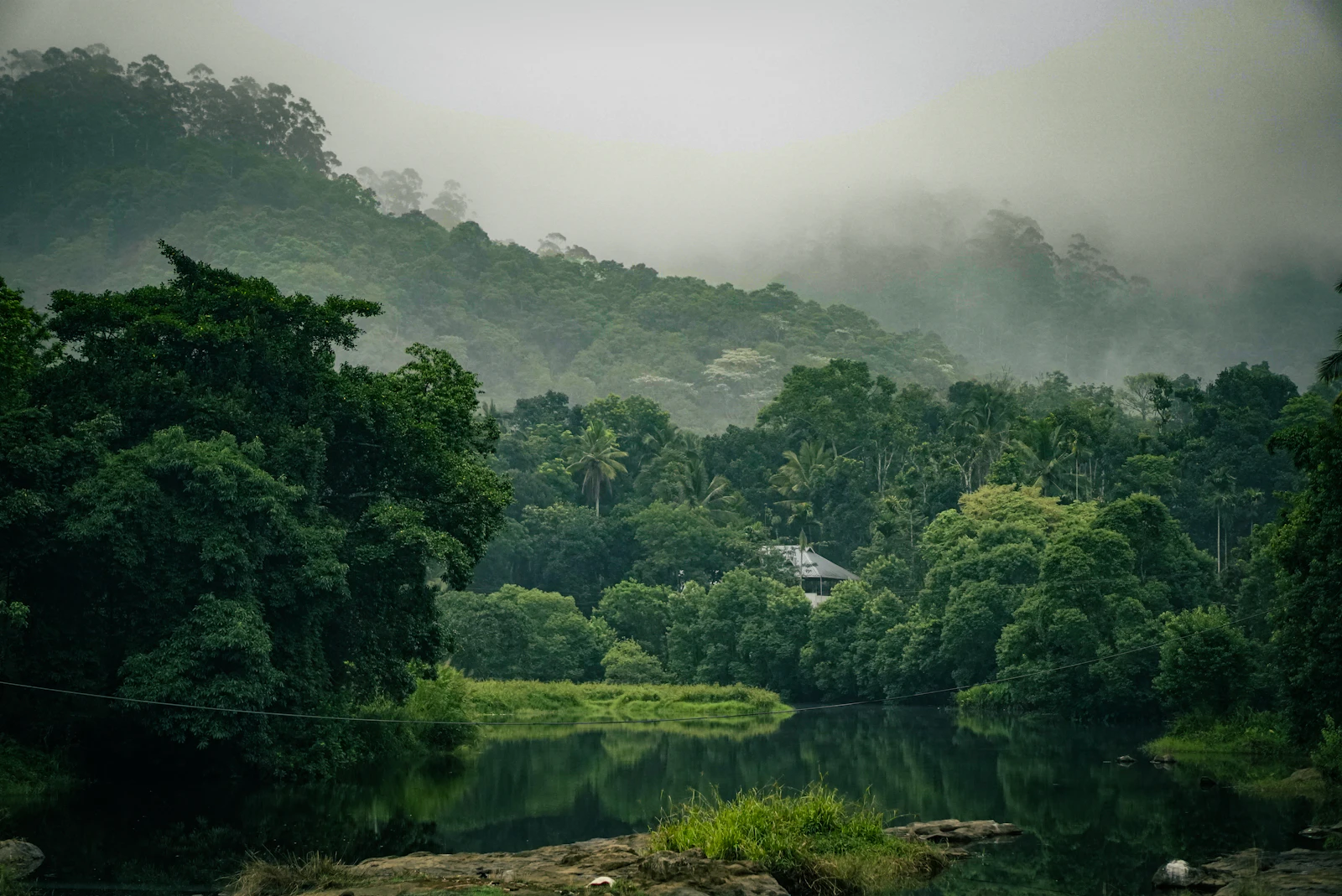 Forested hills and mist above Thekkady, Kerala
