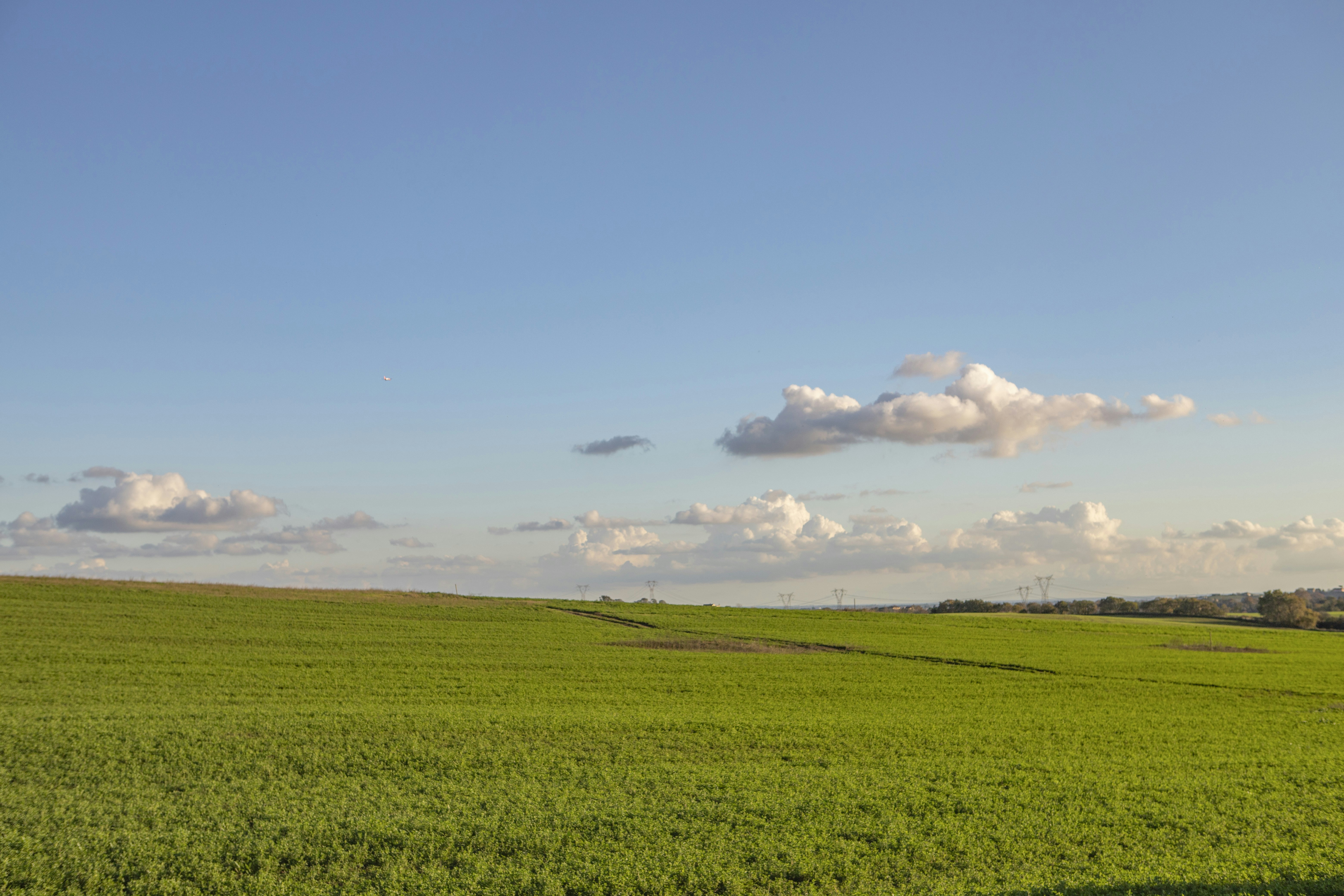 Photo by jddartphotographer