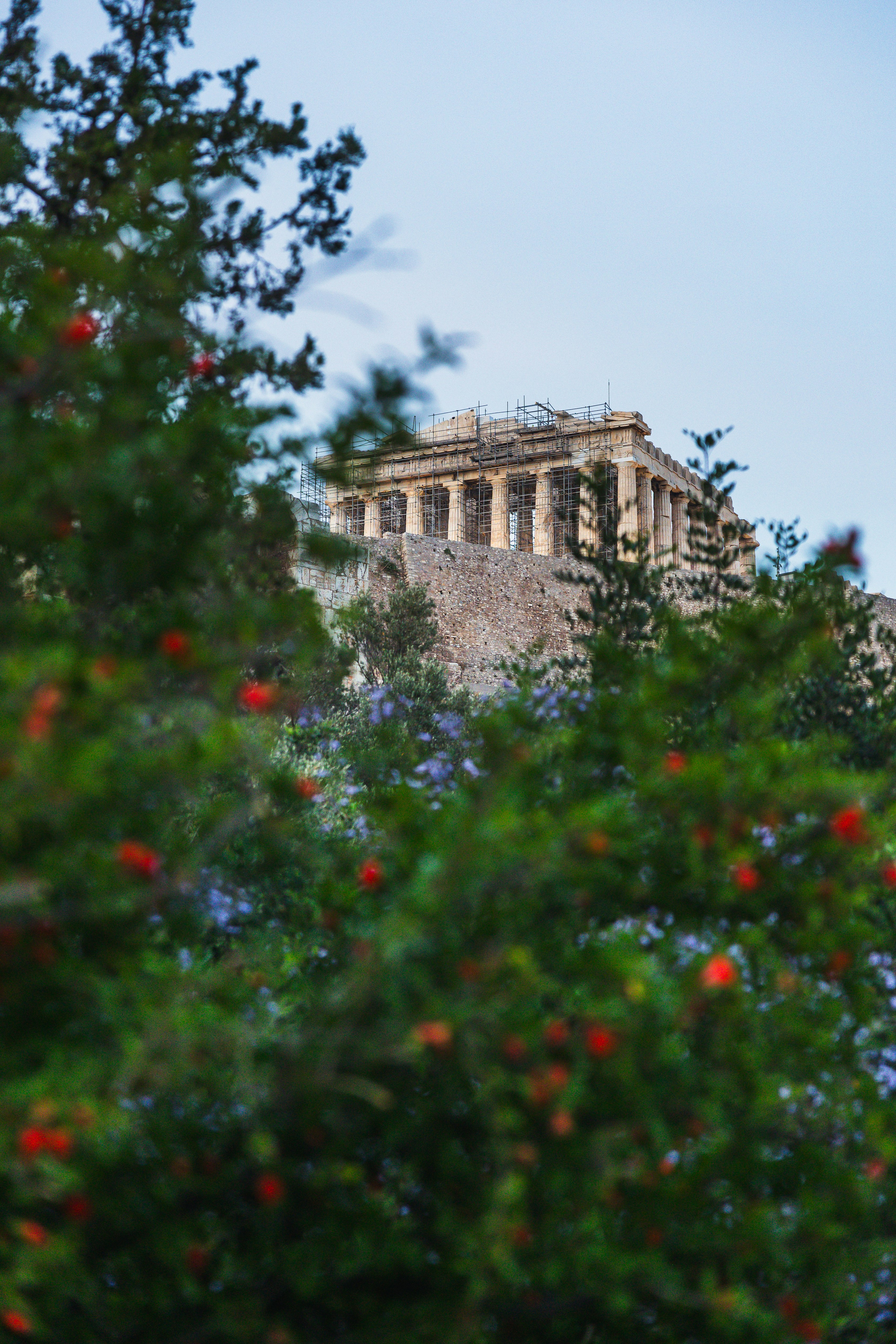 National Garden of Athens photo 3
