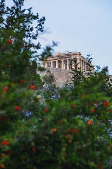 a view of a building through the trees