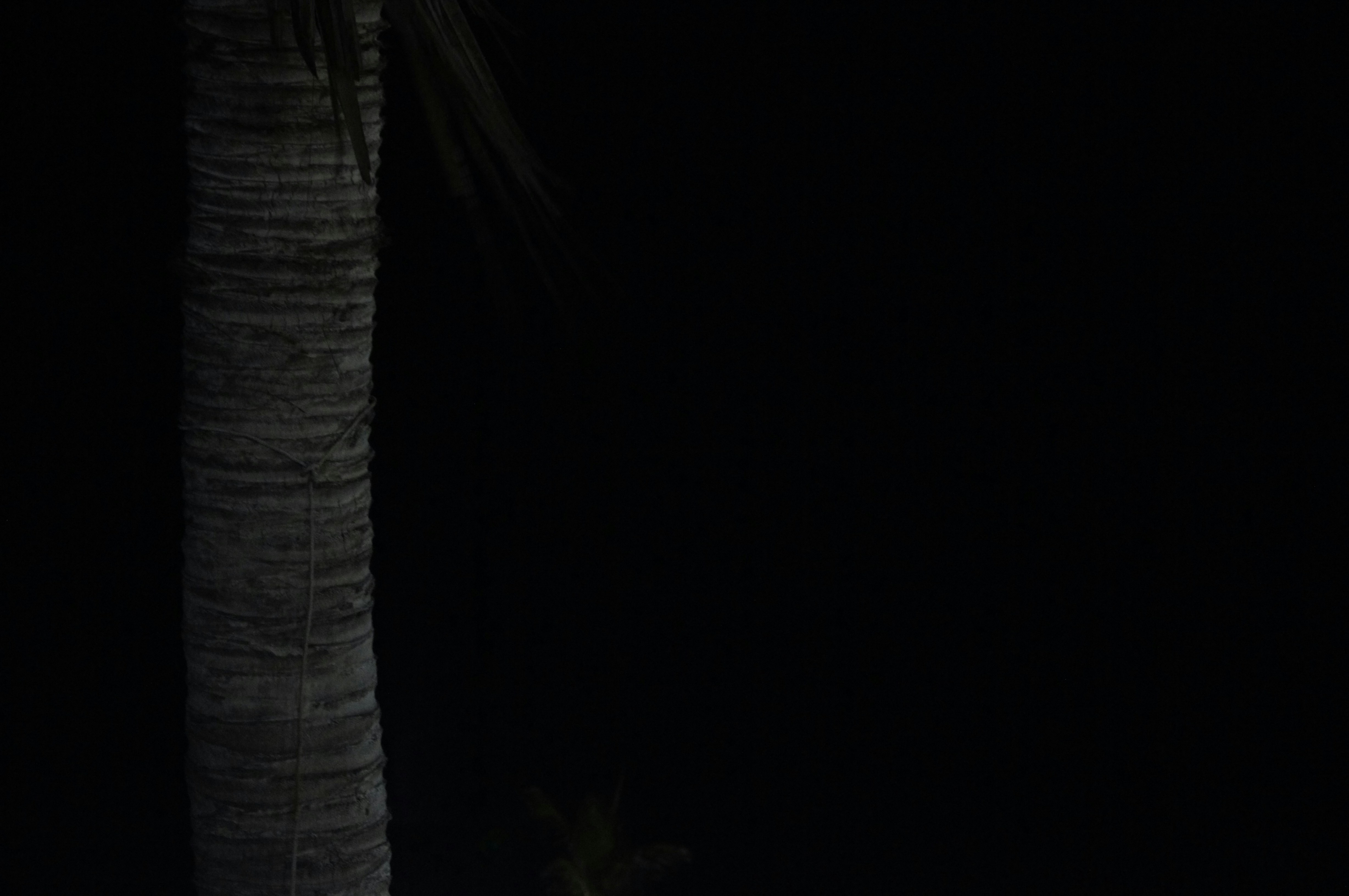 Photo by gus_espiinosa