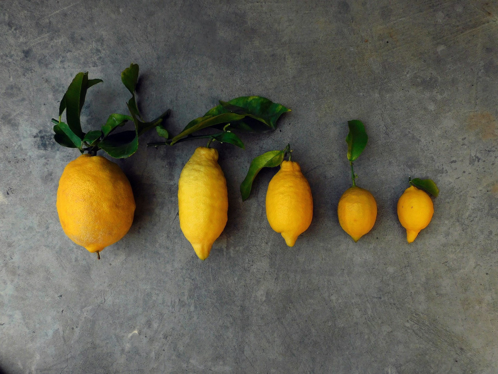 a group of lemons sitting on top of a cement floor