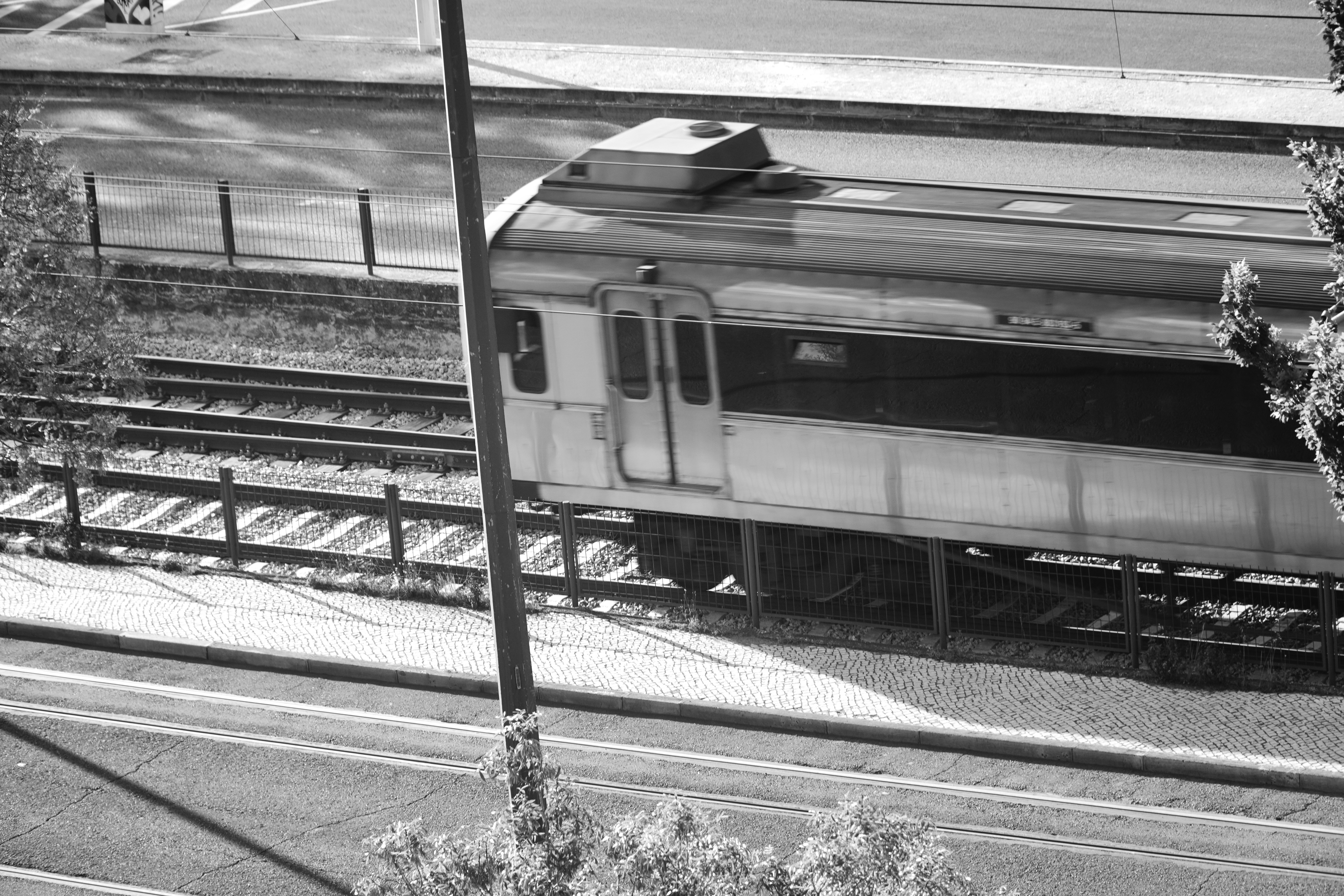 Photo by marcio_azevedo