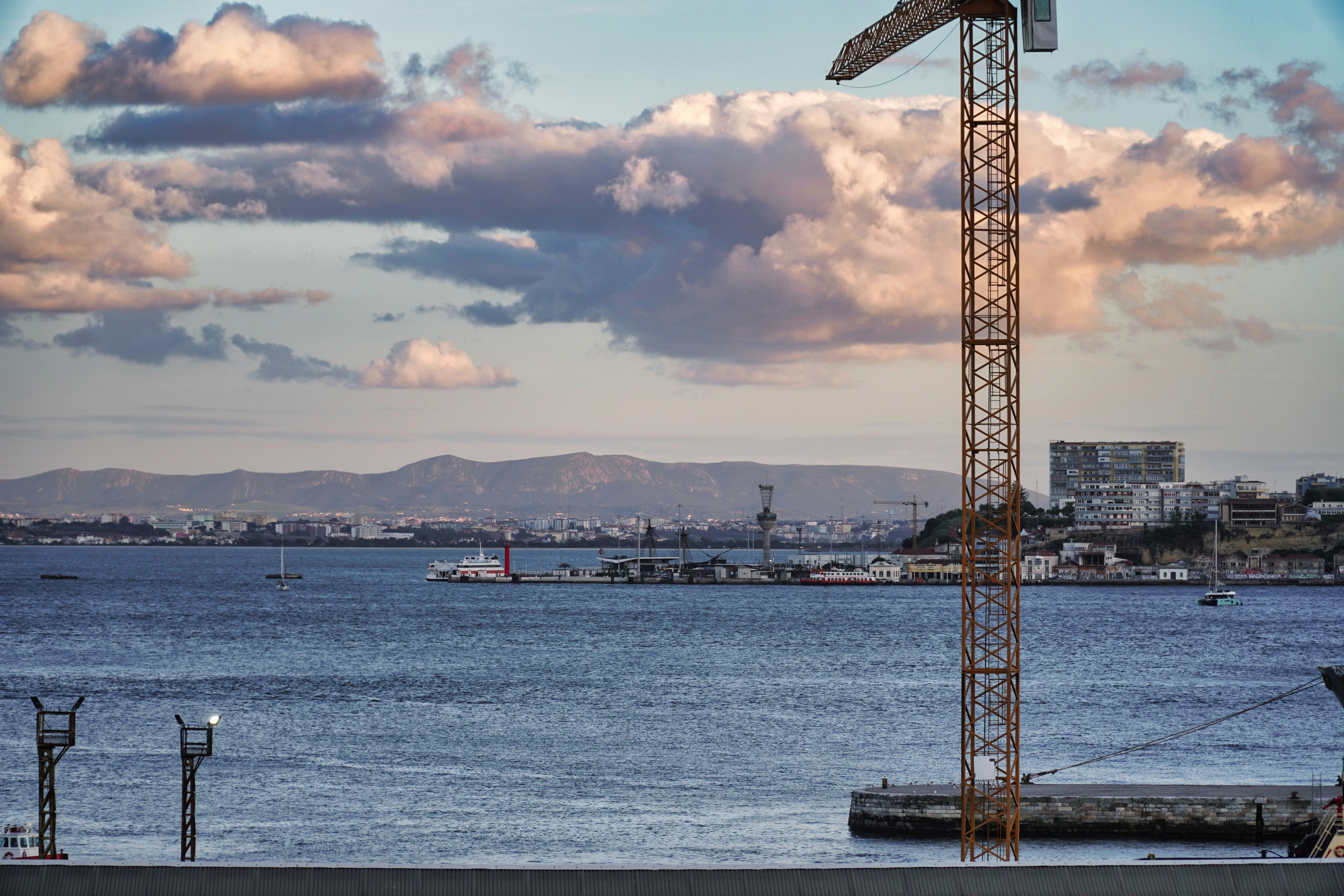 a crane stands in front of a body of water