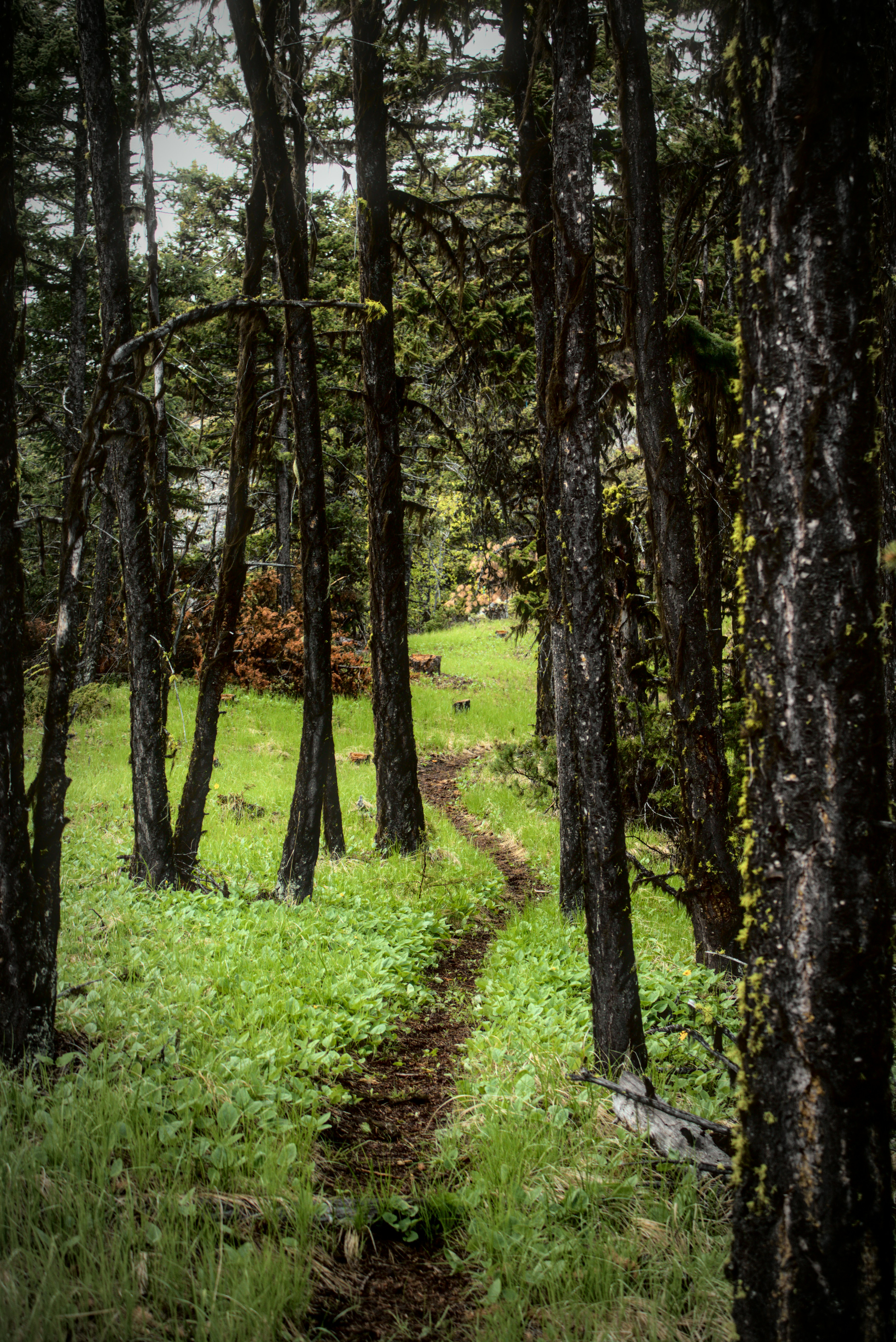 Photo by dcanadianphotographer