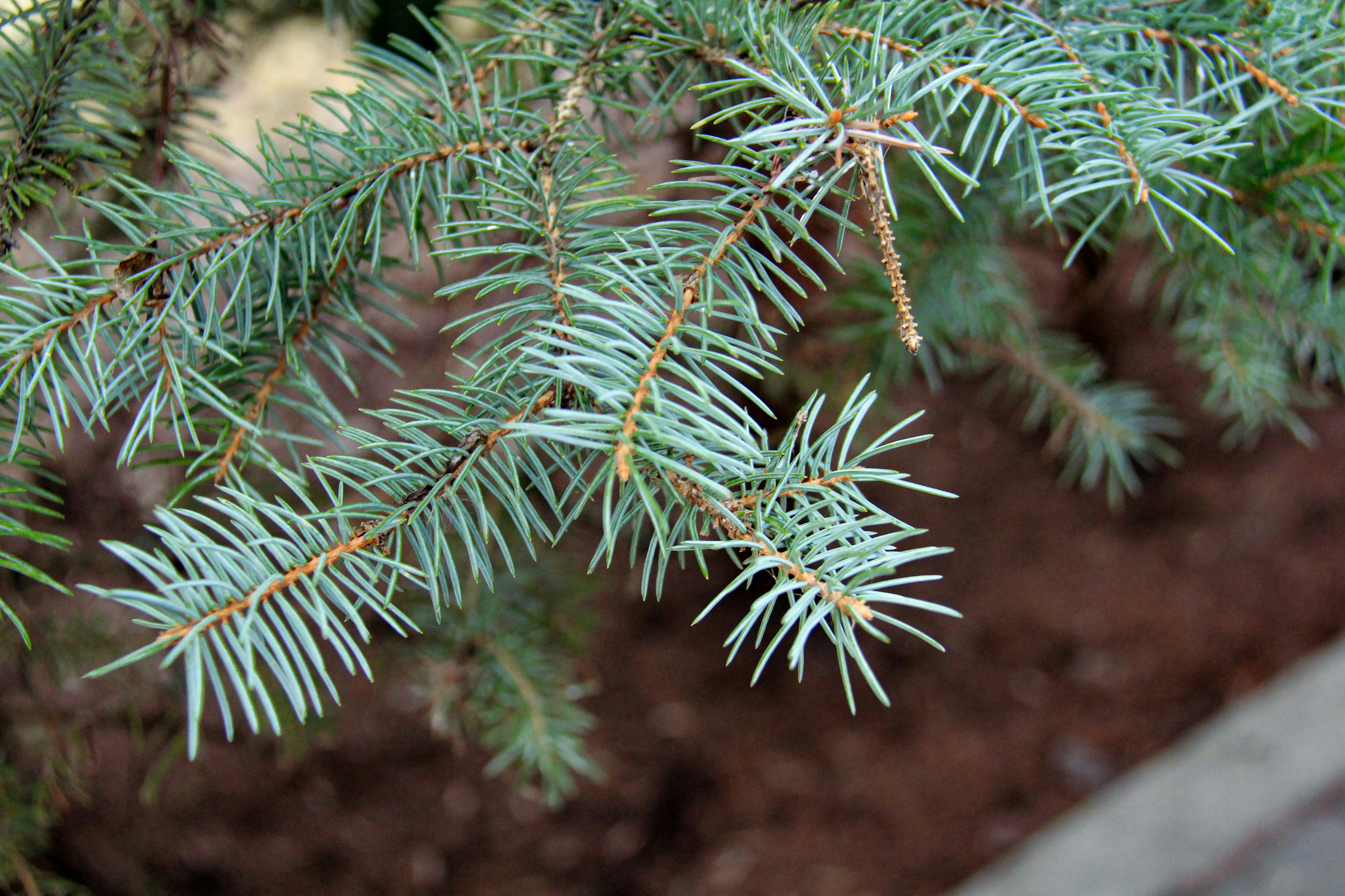 Photo by samueljames16