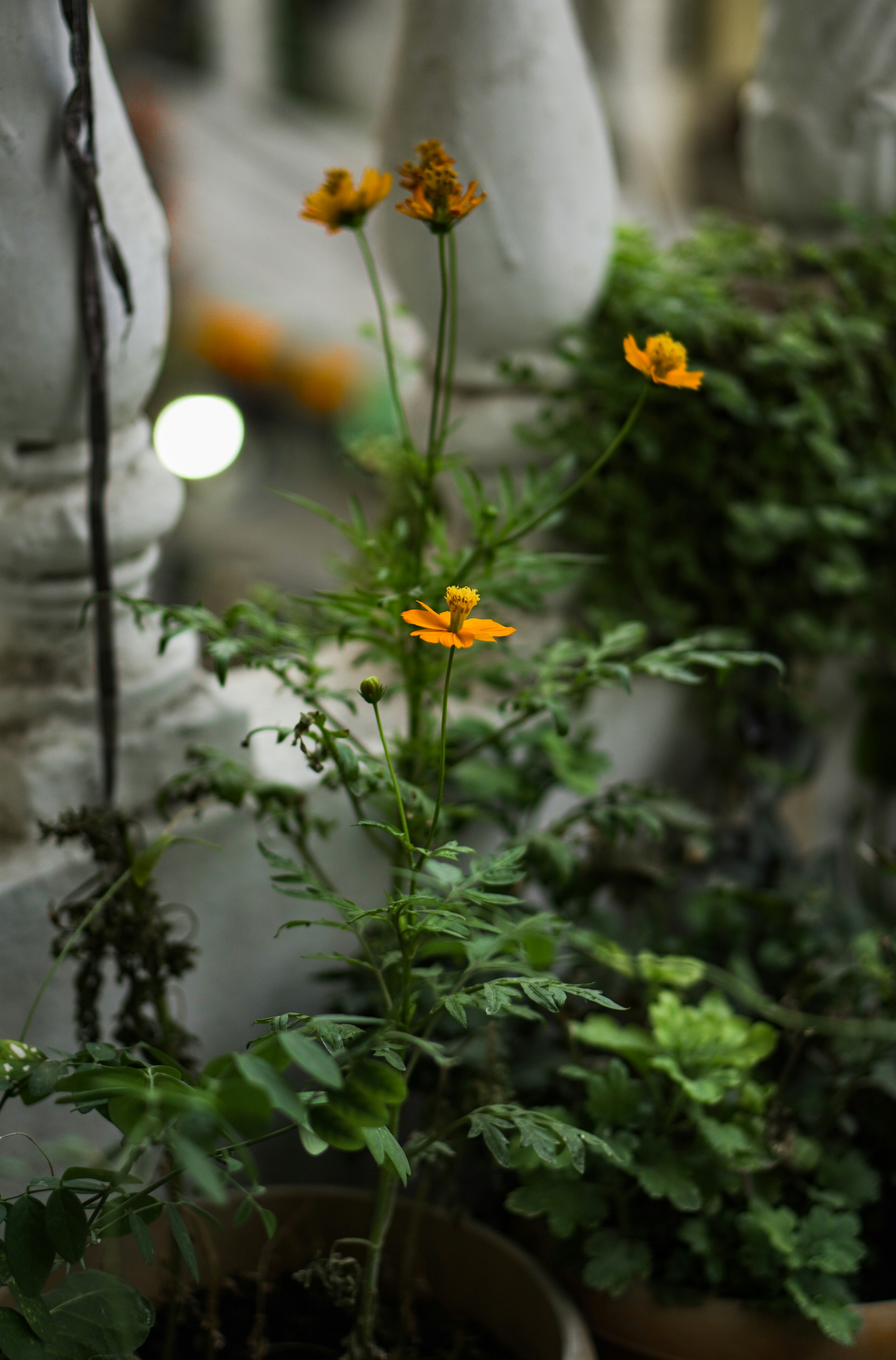 a couple of statues sitting next to each other