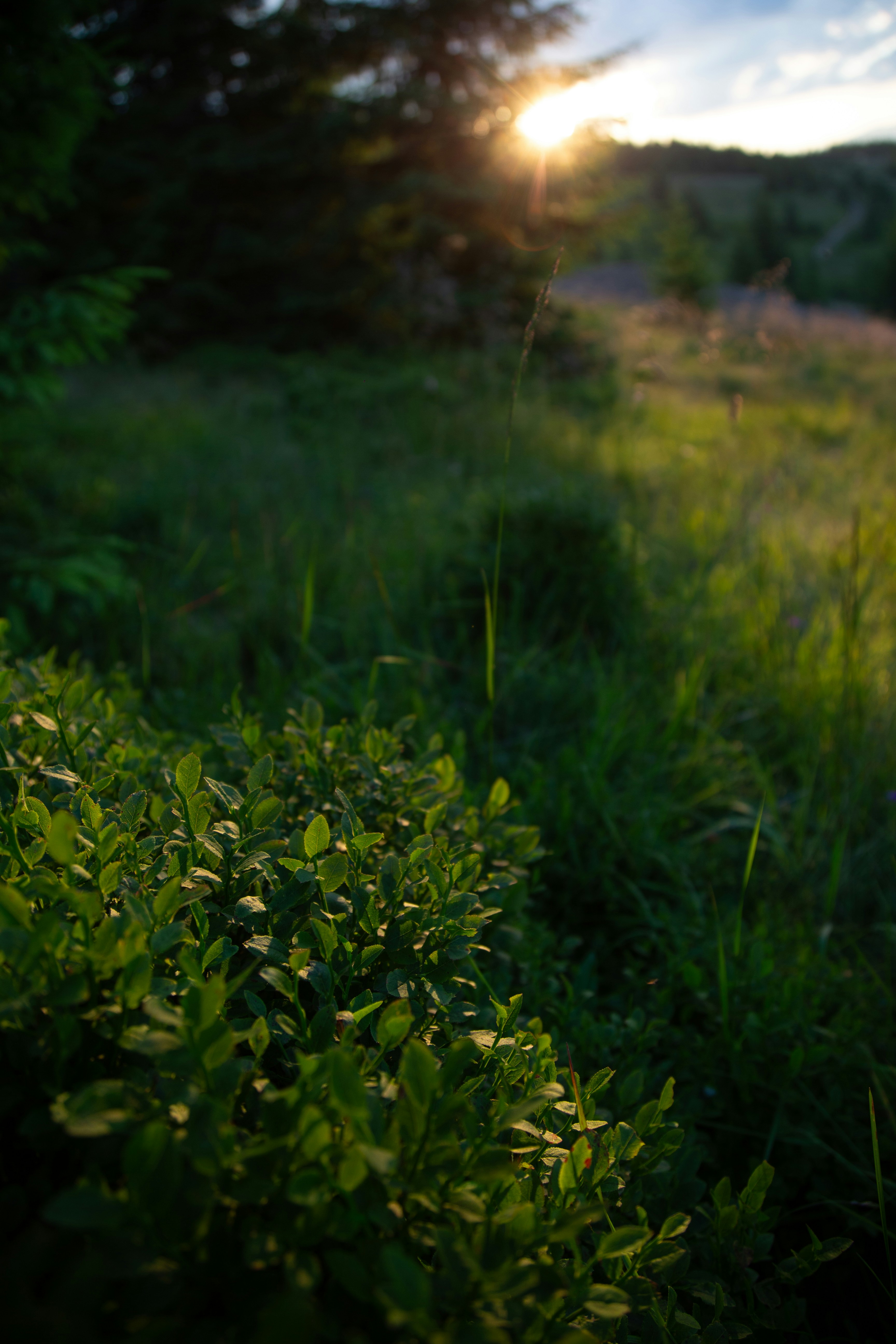 Photo by cameraobscura2000