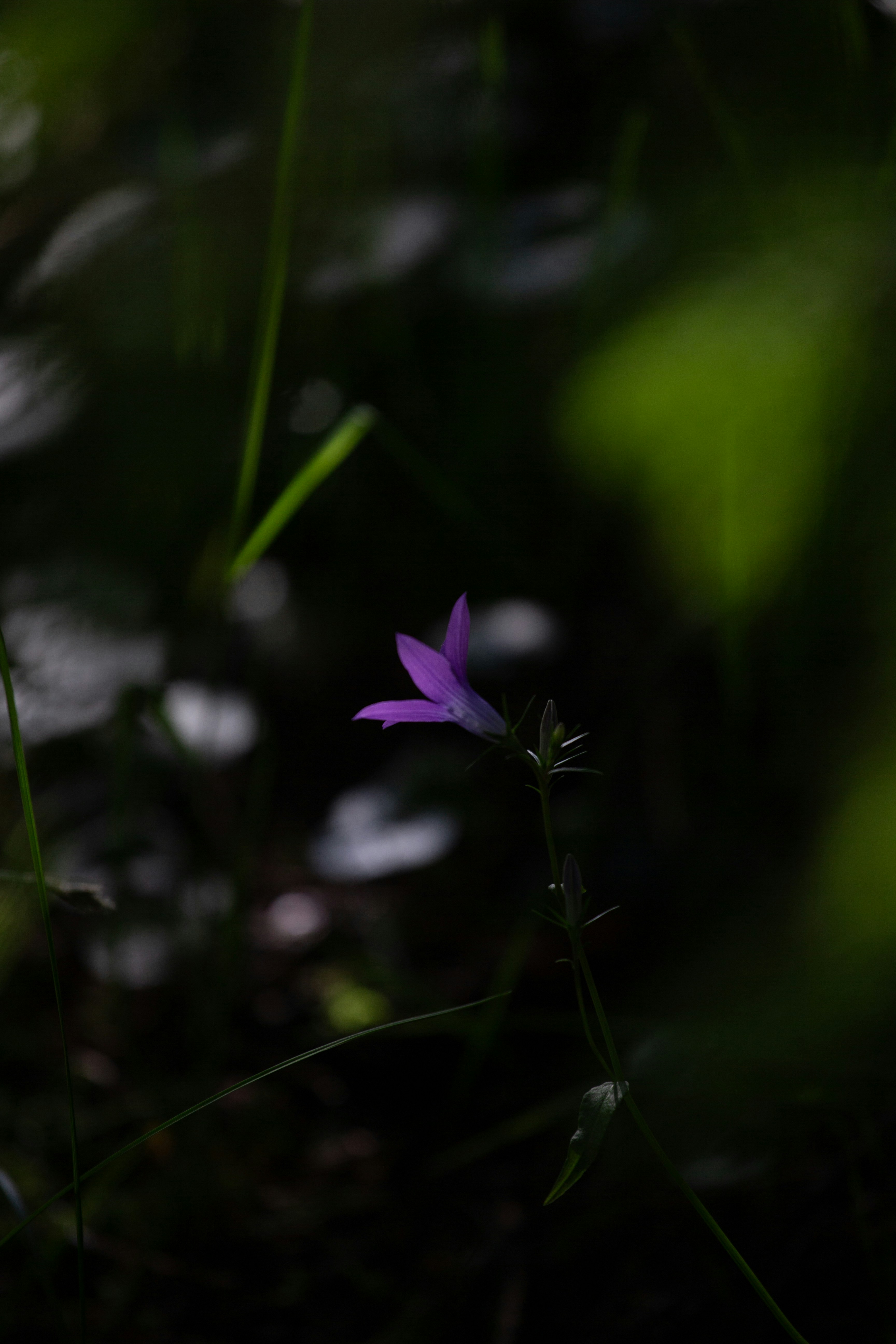 Photo by cameraobscura2000