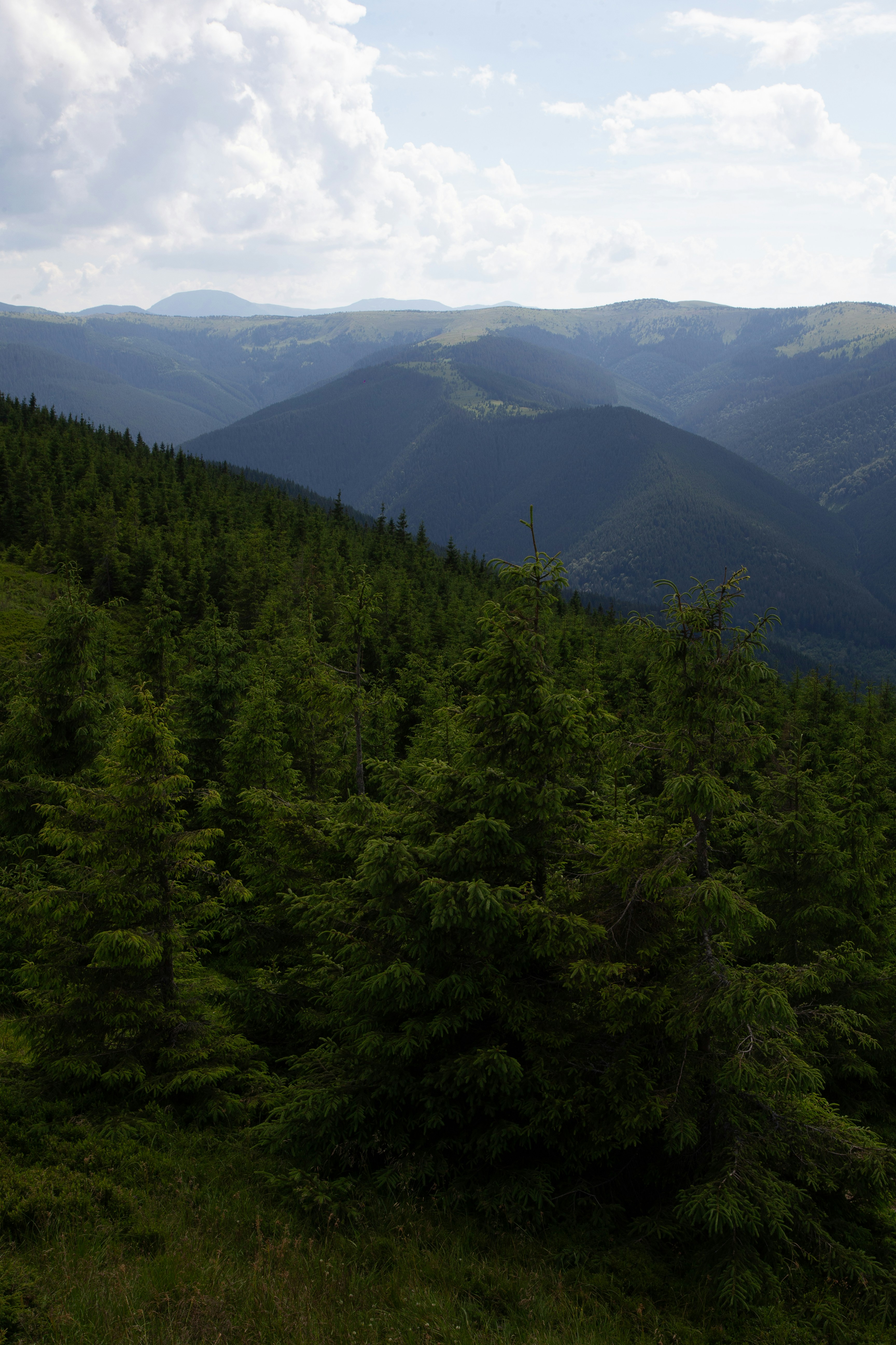 Photo by cameraobscura2000