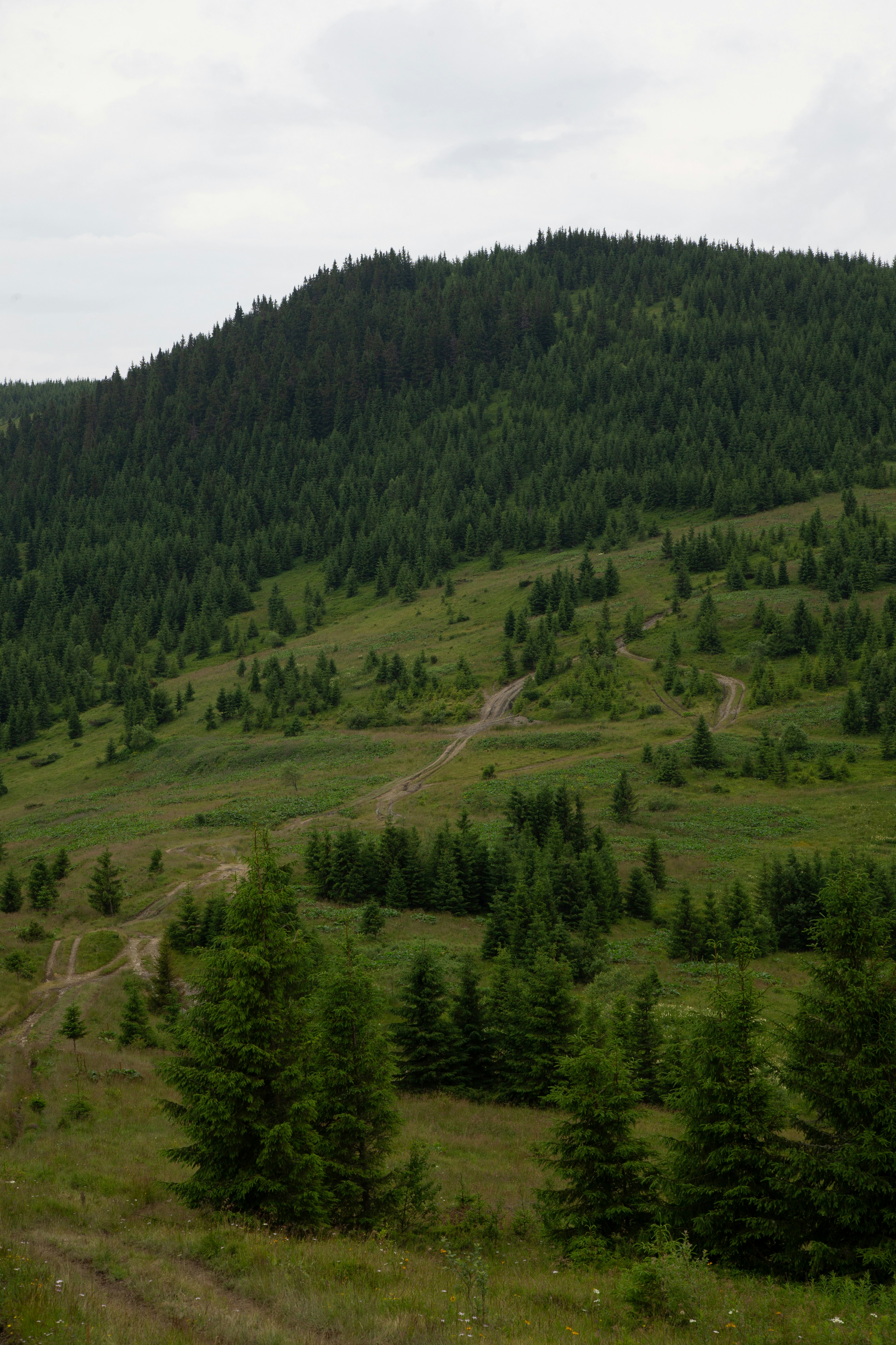 Photo by cameraobscura2000