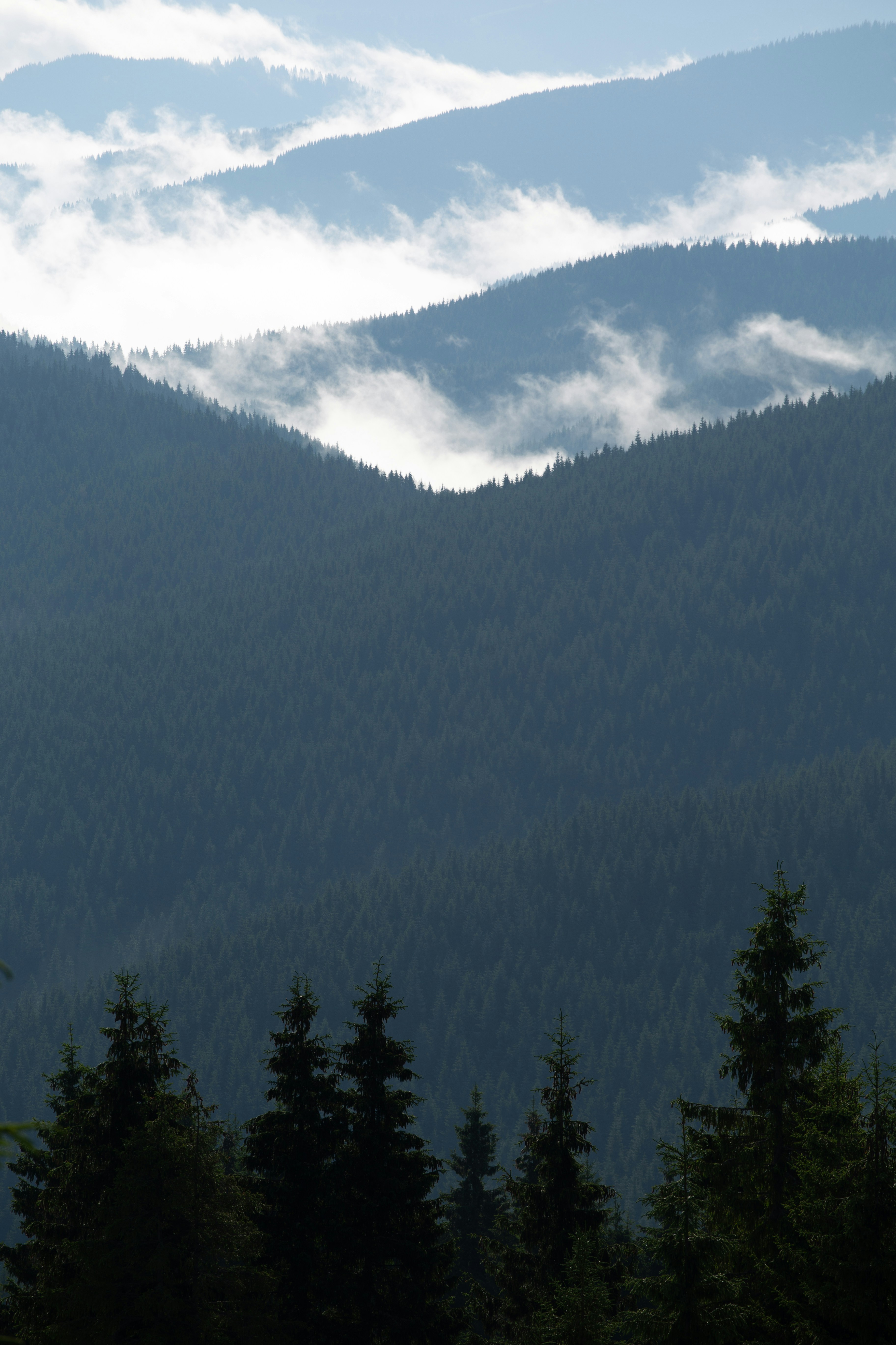 Photo by cameraobscura2000