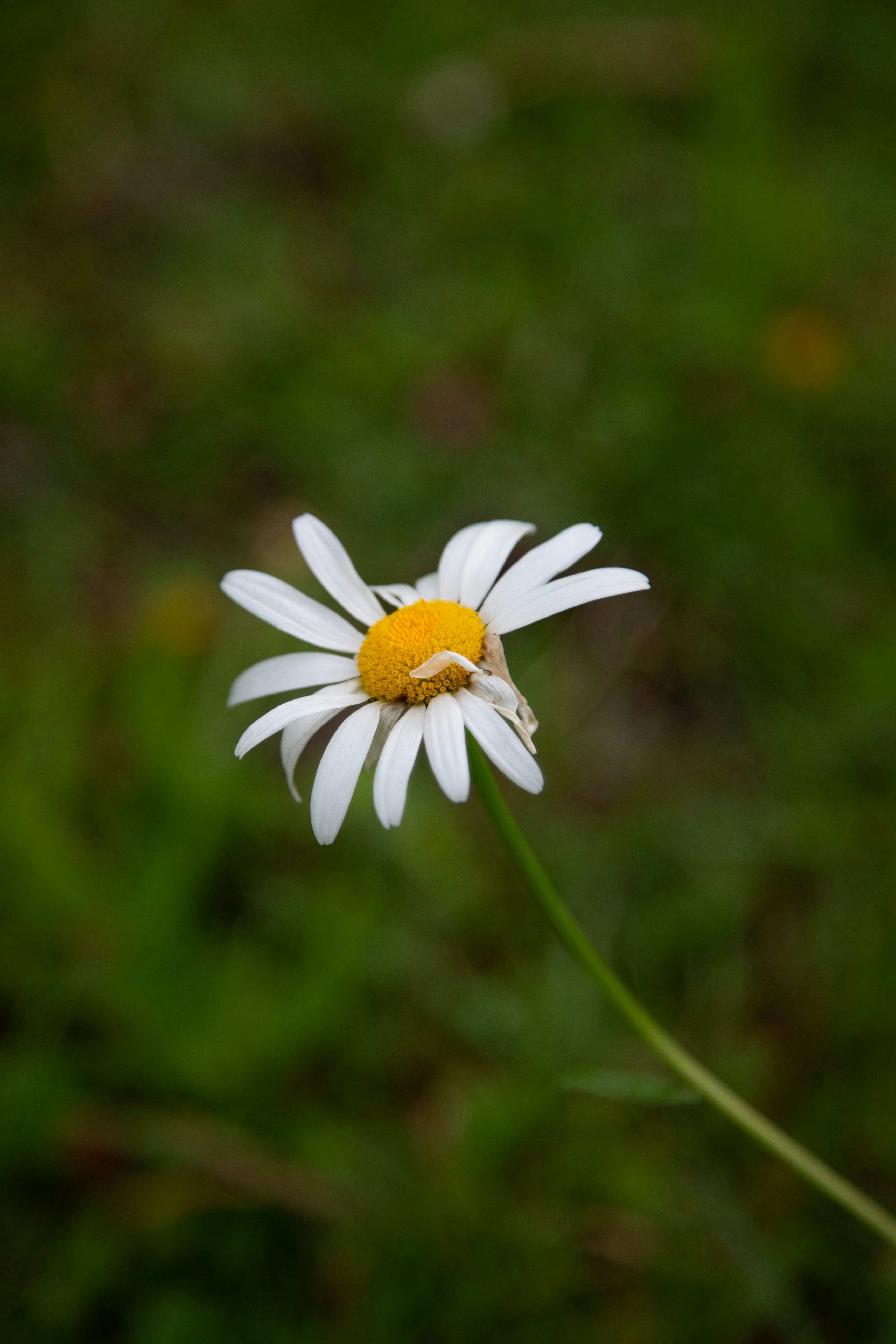 Photo by cameraobscura2000