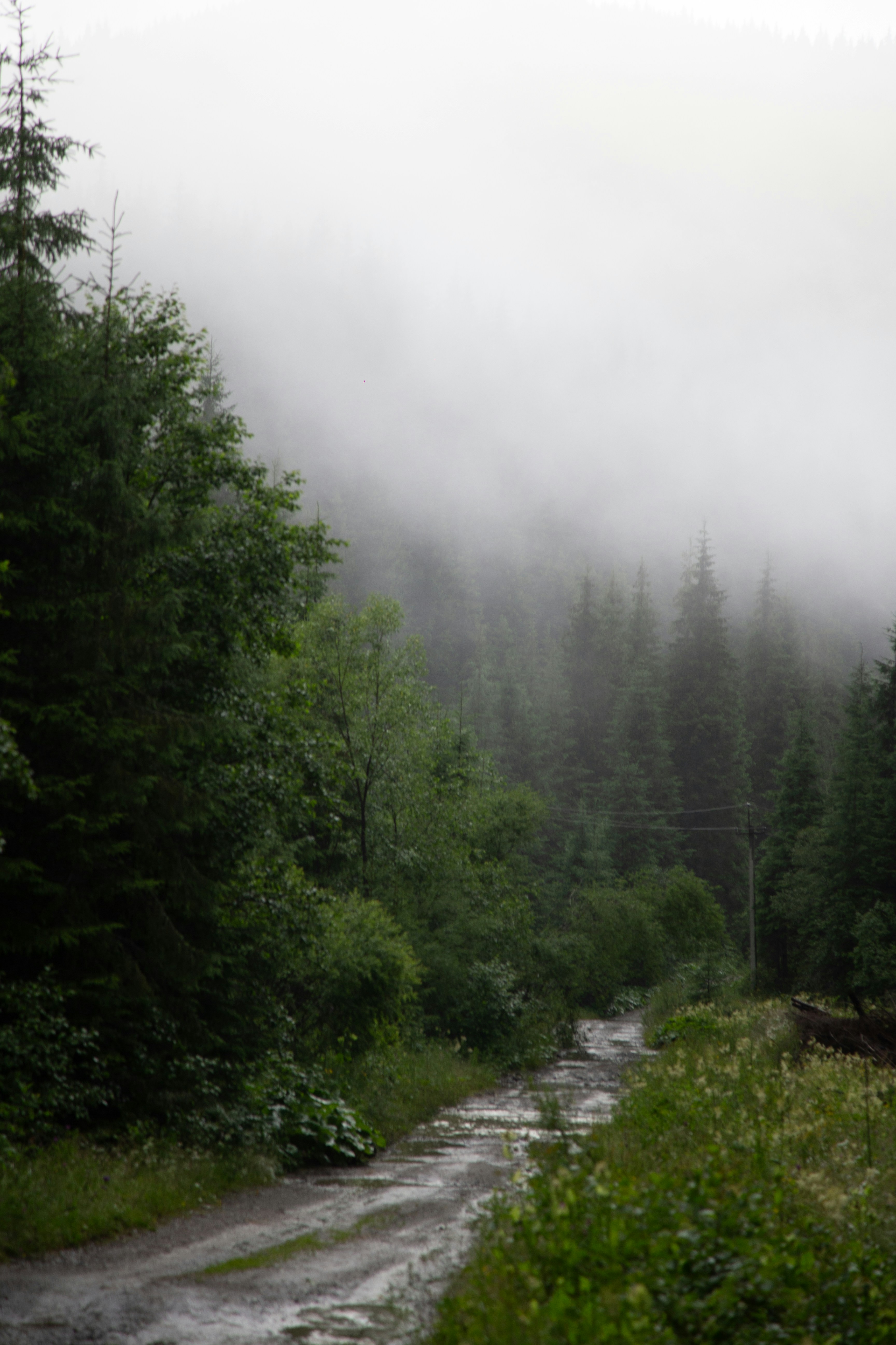 Photo by cameraobscura2000