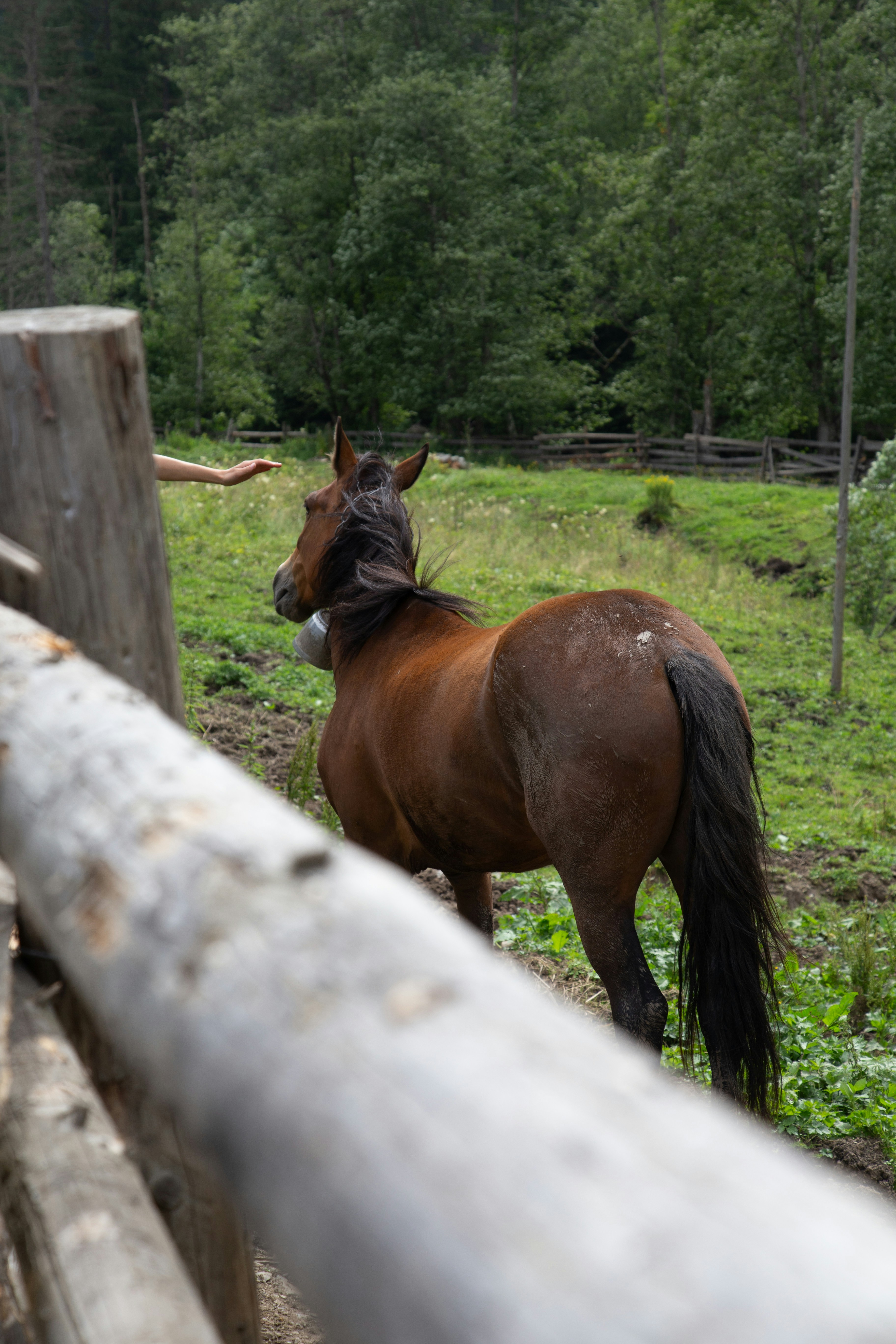 Photo by cameraobscura2000