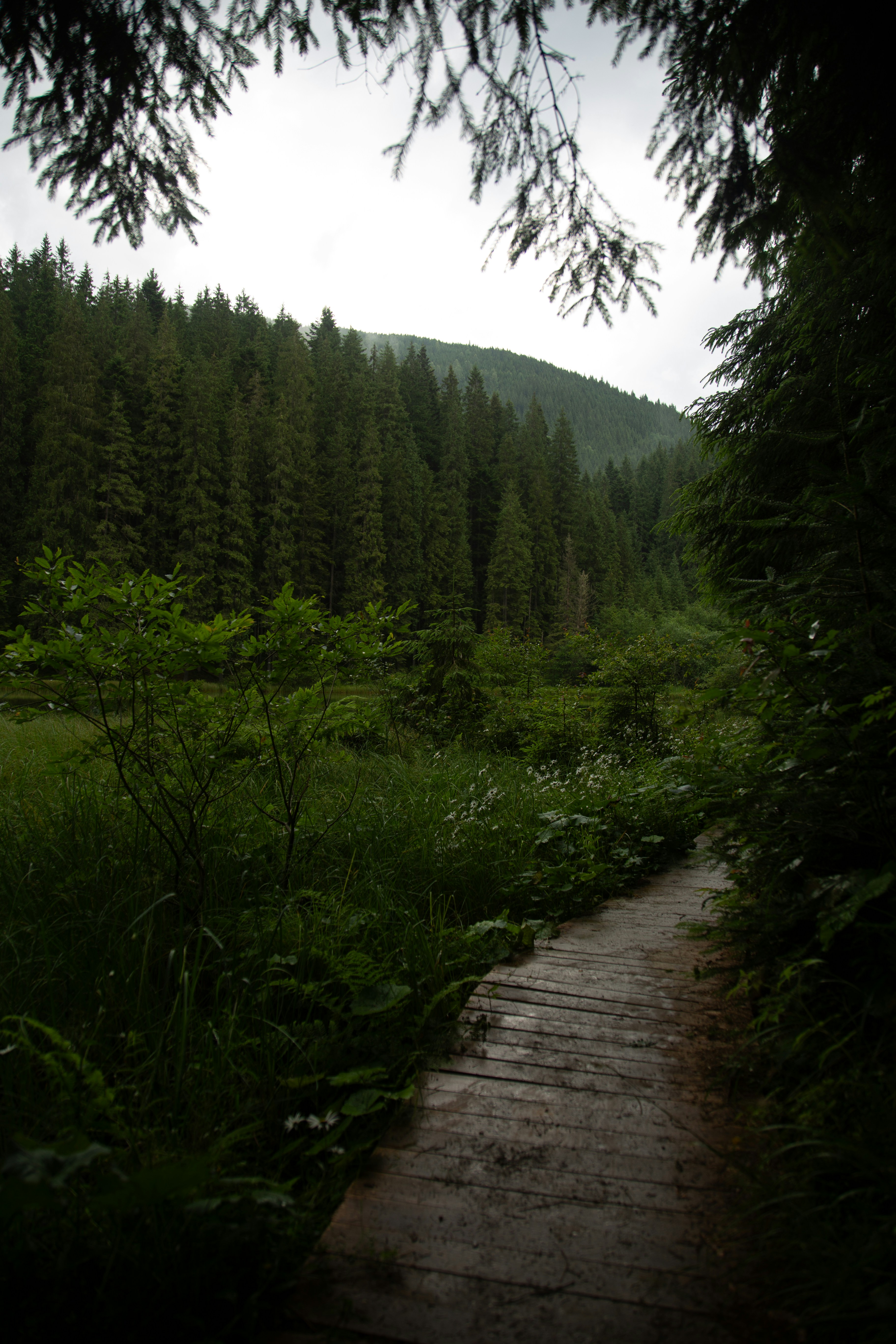 Photo by cameraobscura2000