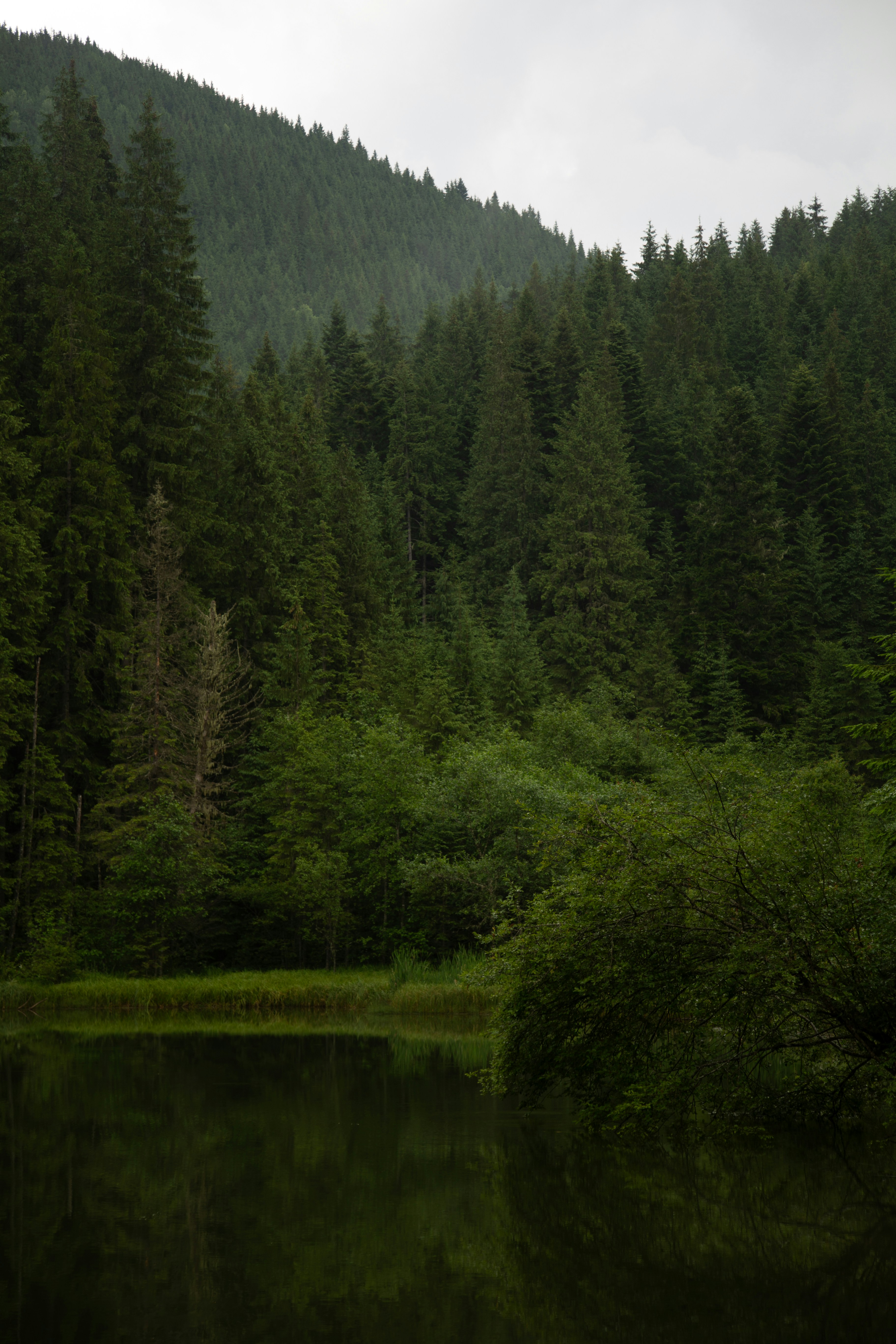 Photo by cameraobscura2000