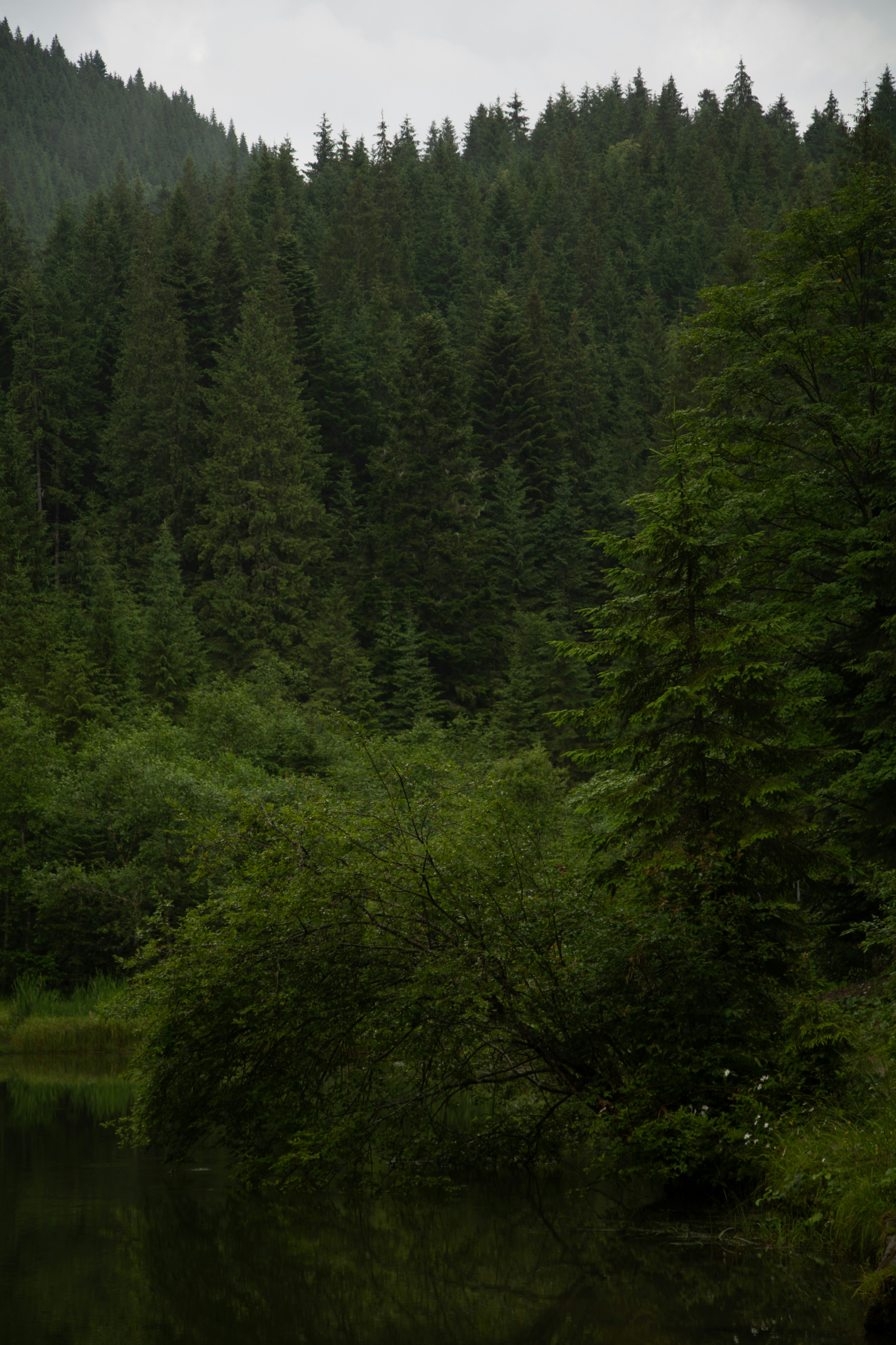 Photo by cameraobscura2000