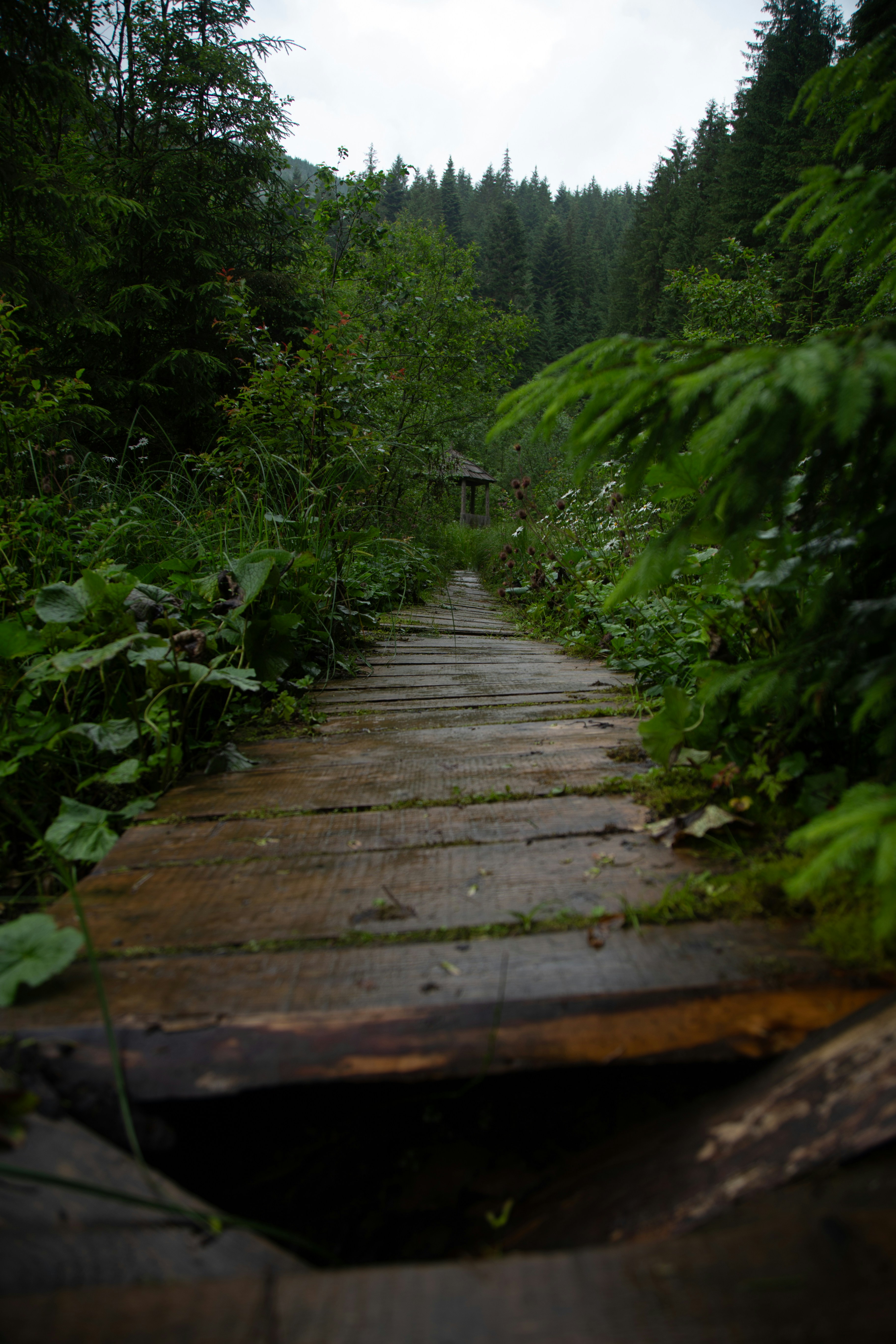 Photo by cameraobscura2000