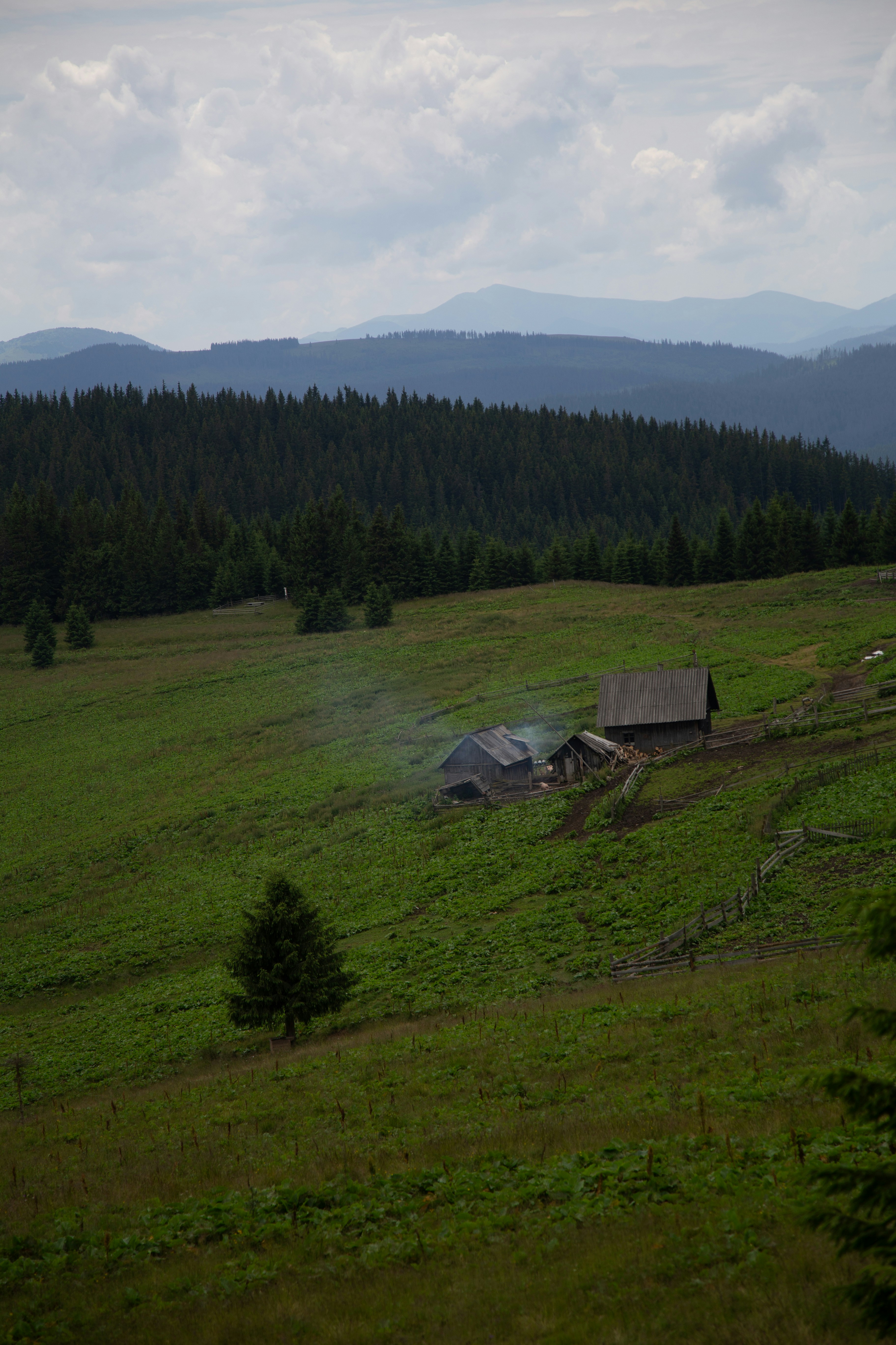 Photo by cameraobscura2000