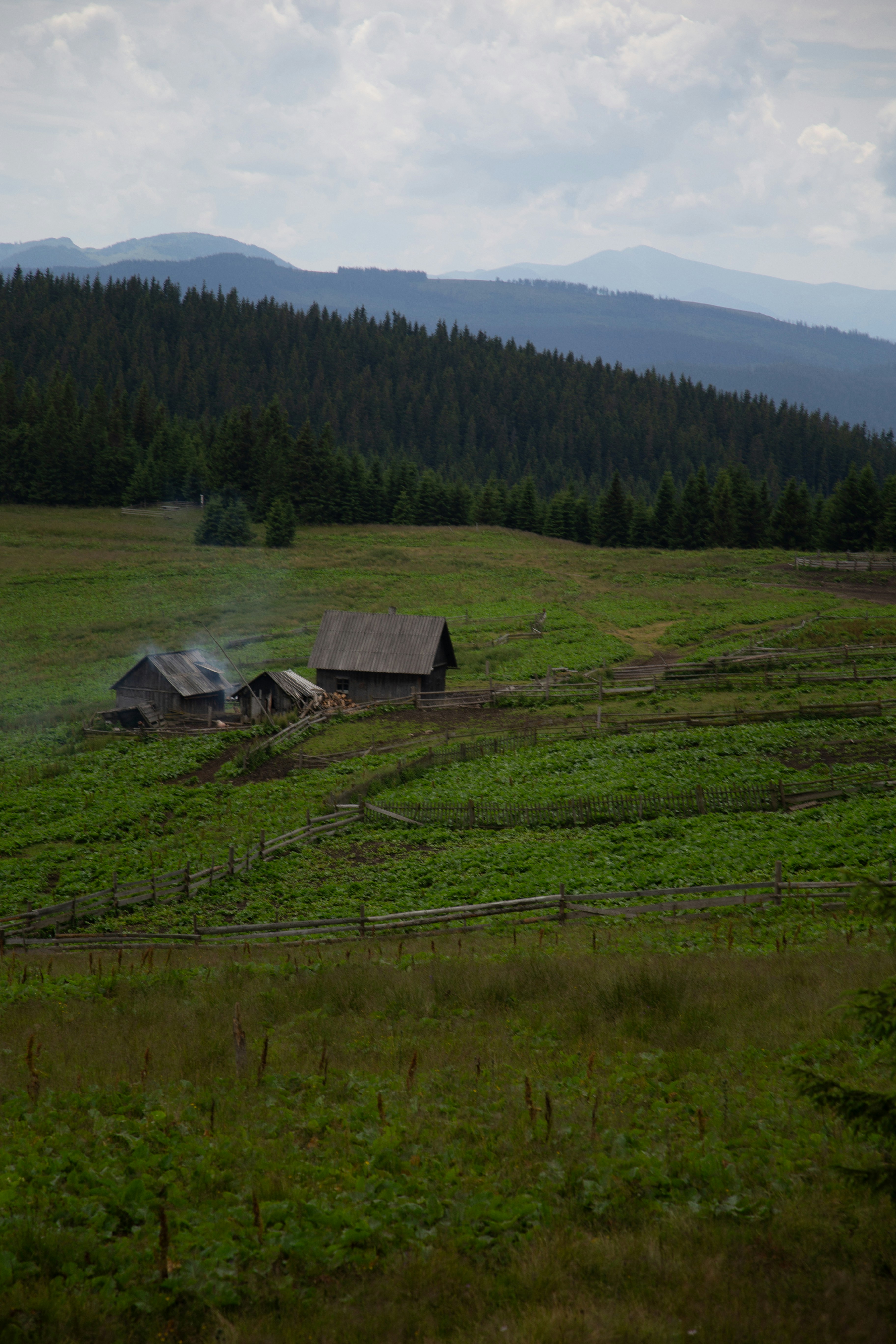 Photo by cameraobscura2000