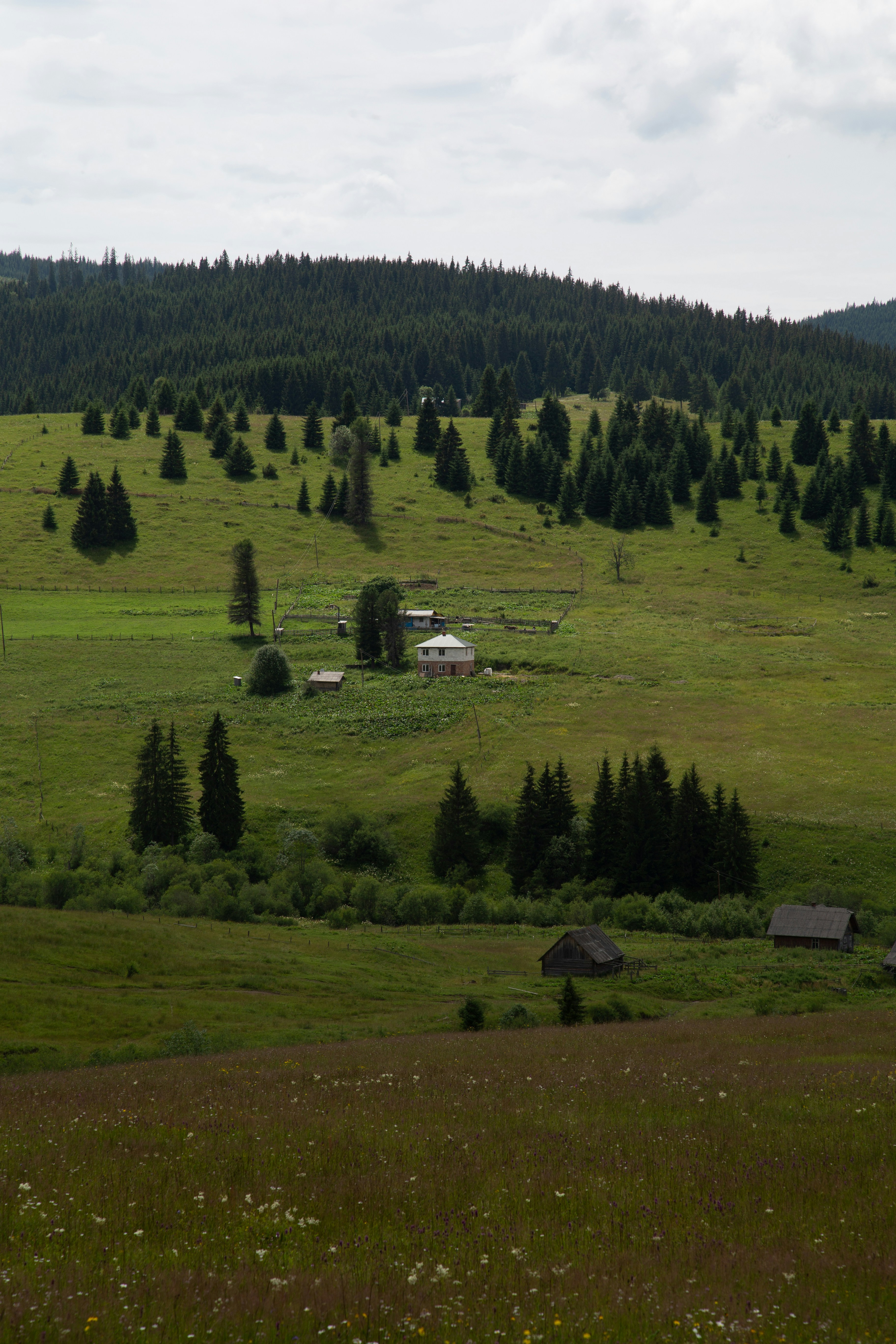 Photo by cameraobscura2000