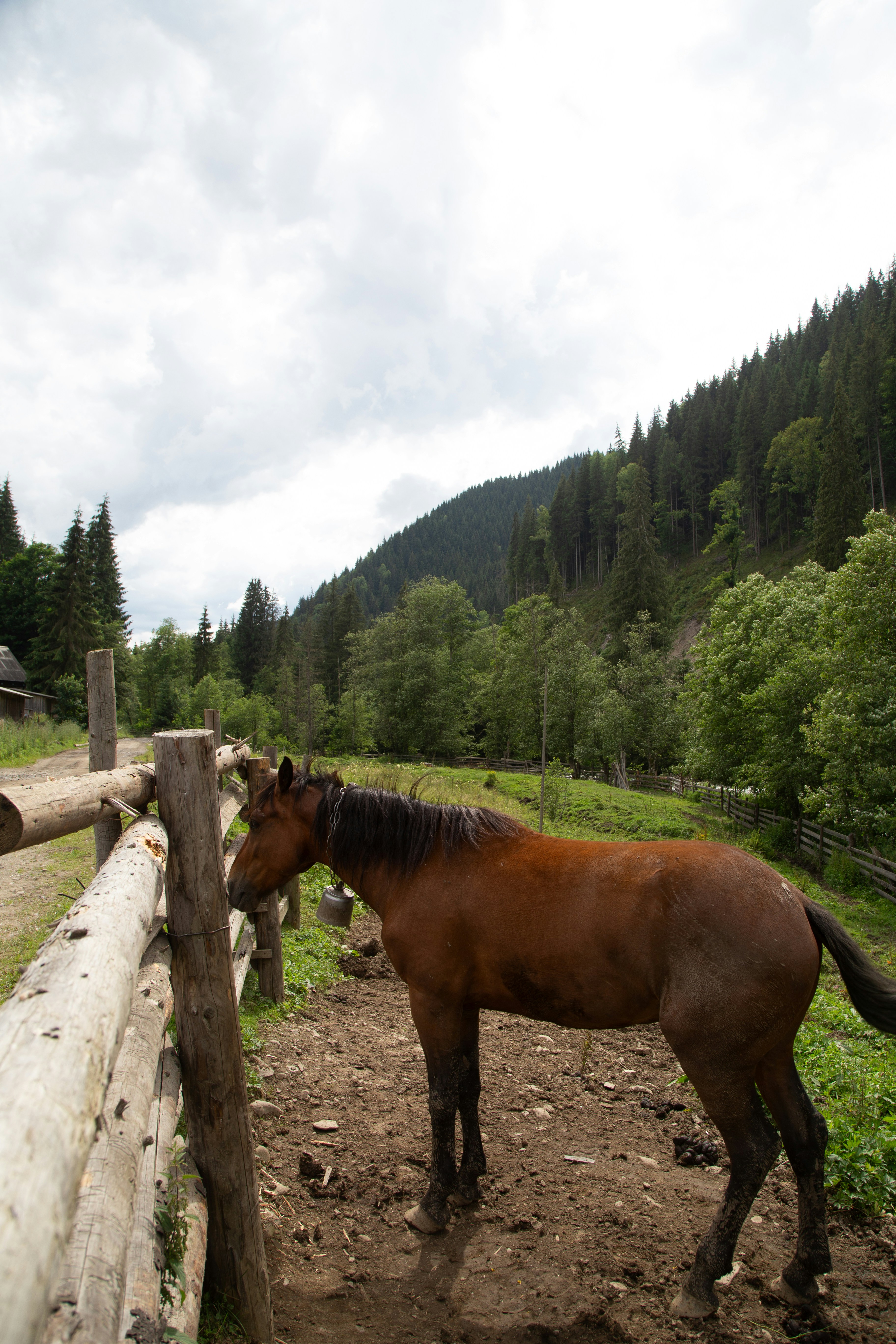 Photo by cameraobscura2000