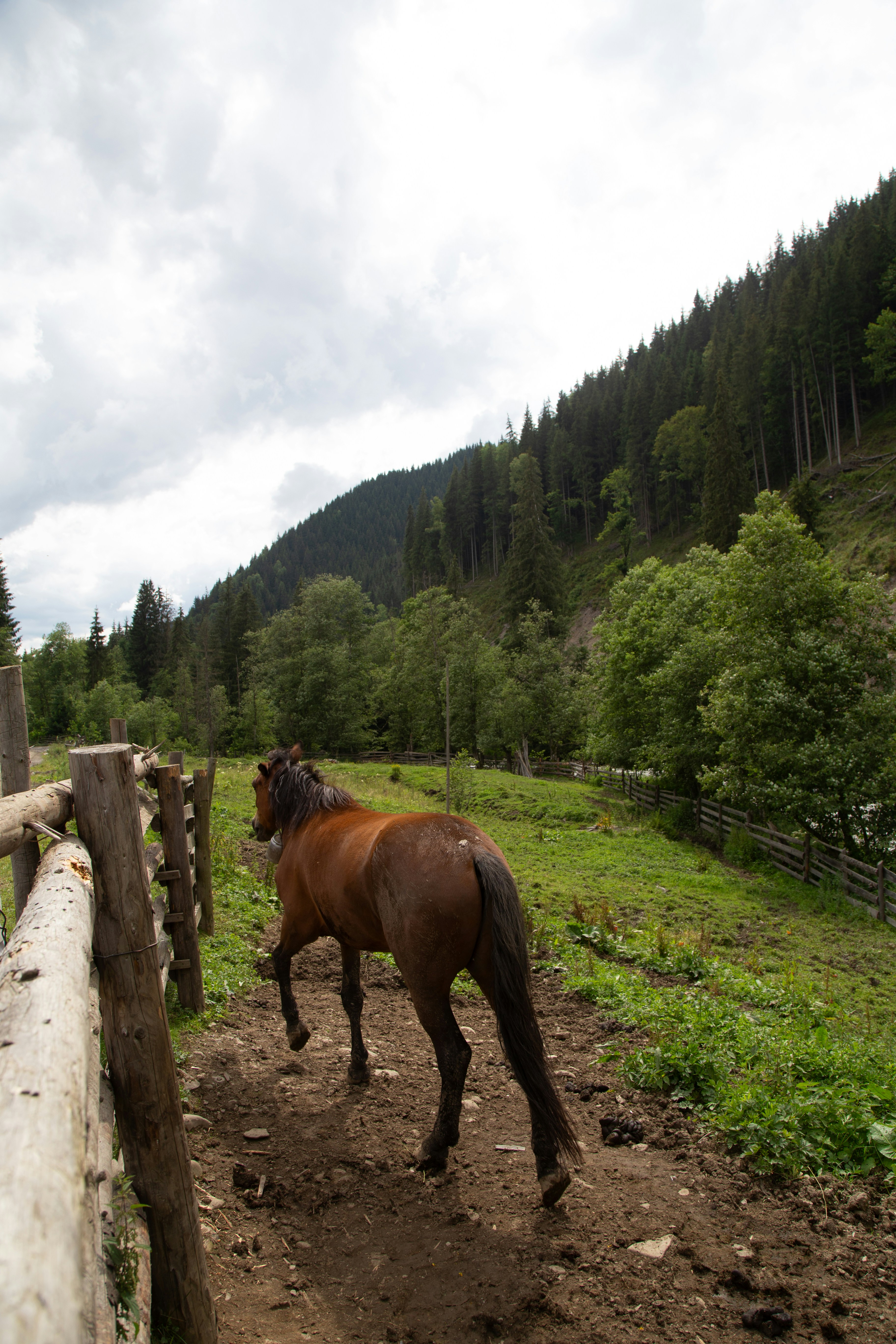 Photo by cameraobscura2000