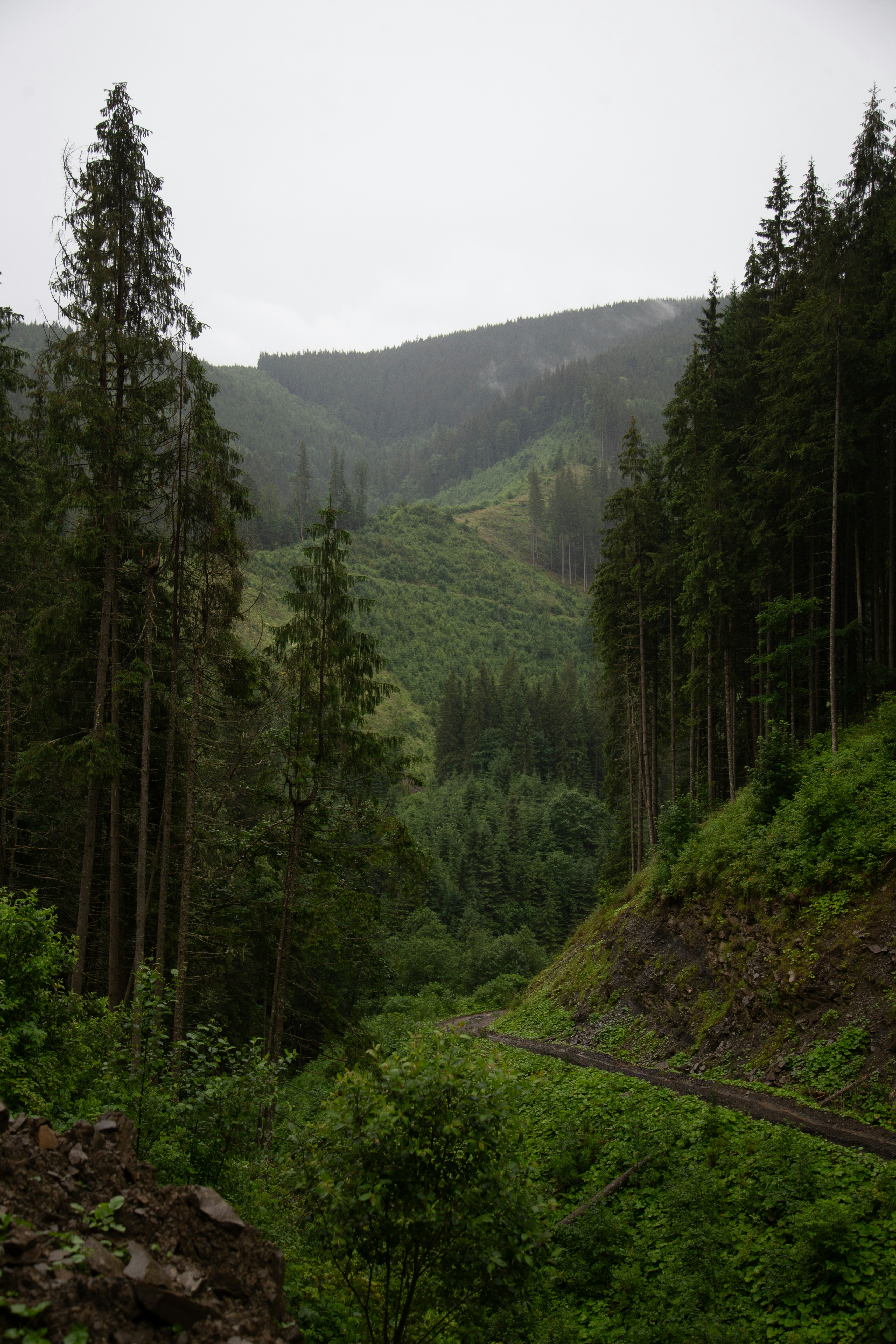 Photo by cameraobscura2000