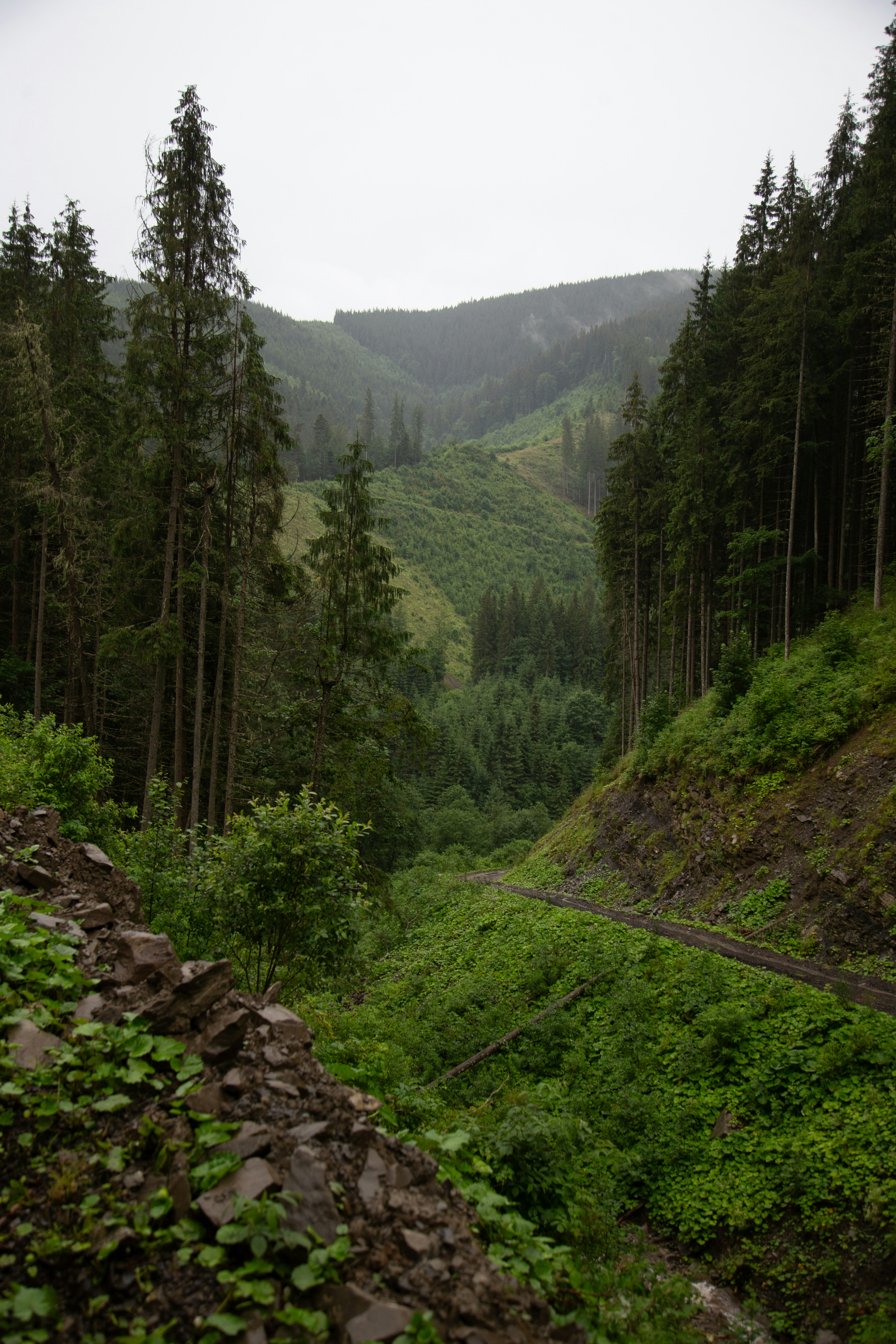 Photo by cameraobscura2000