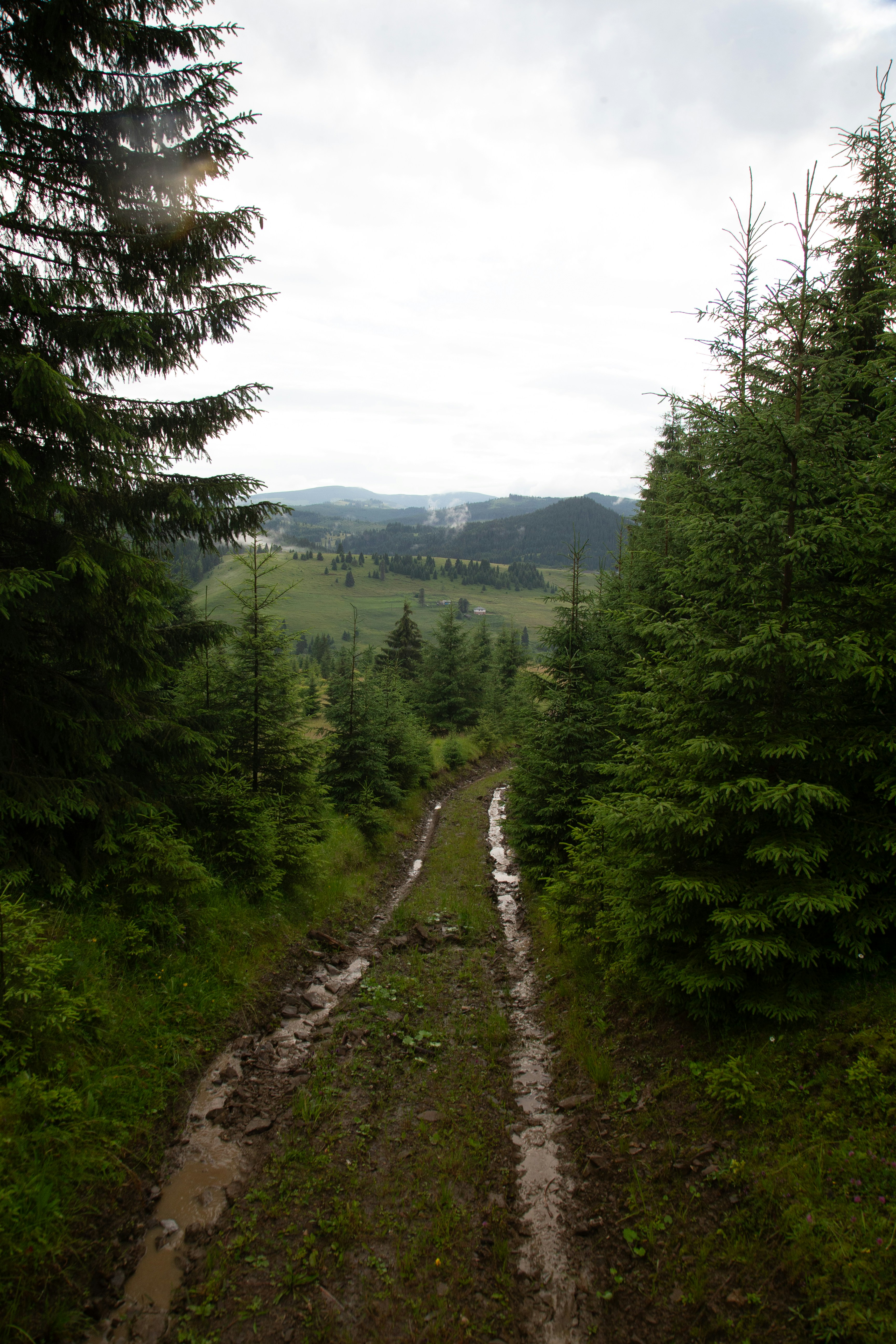 Photo by cameraobscura2000