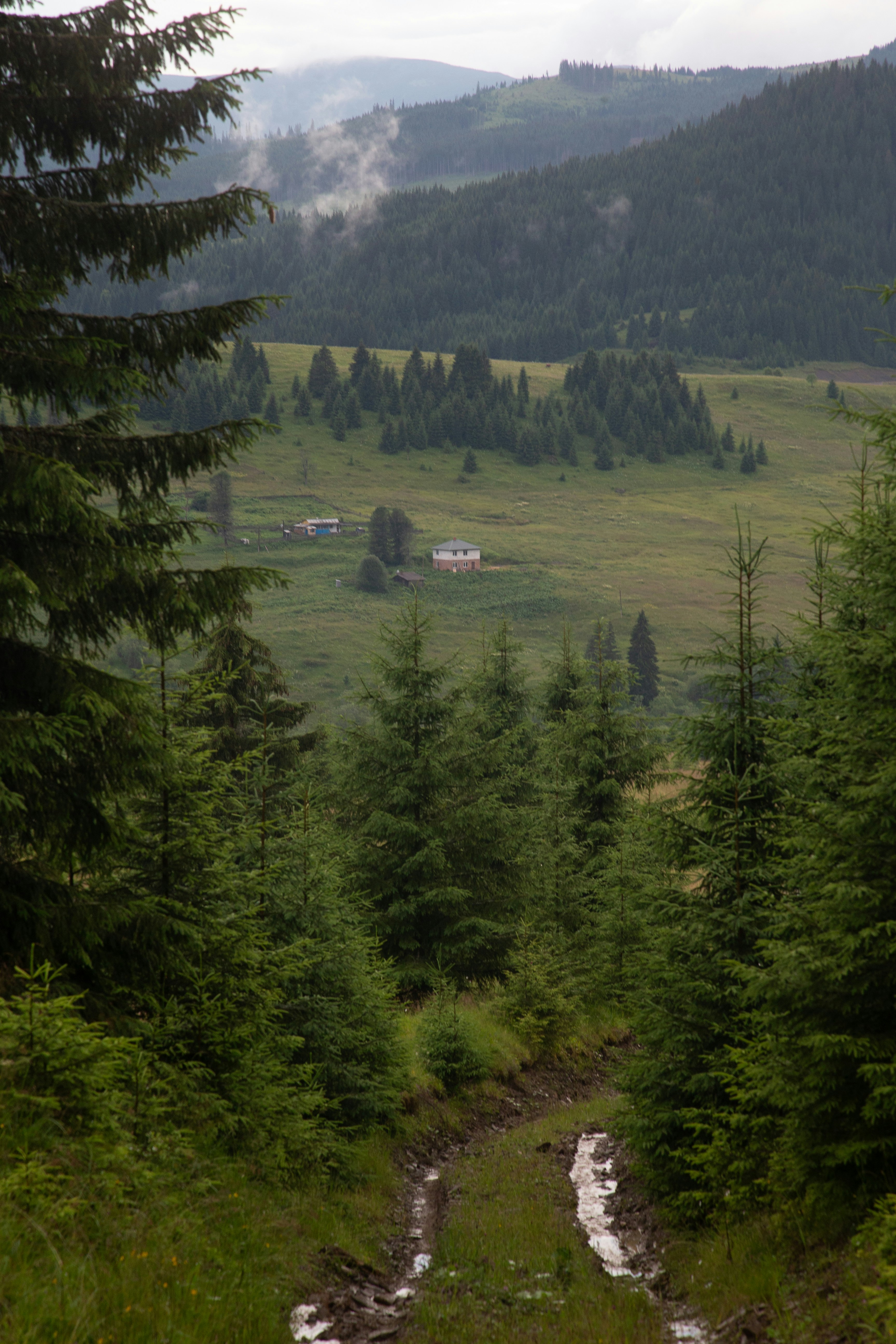 Photo by cameraobscura2000