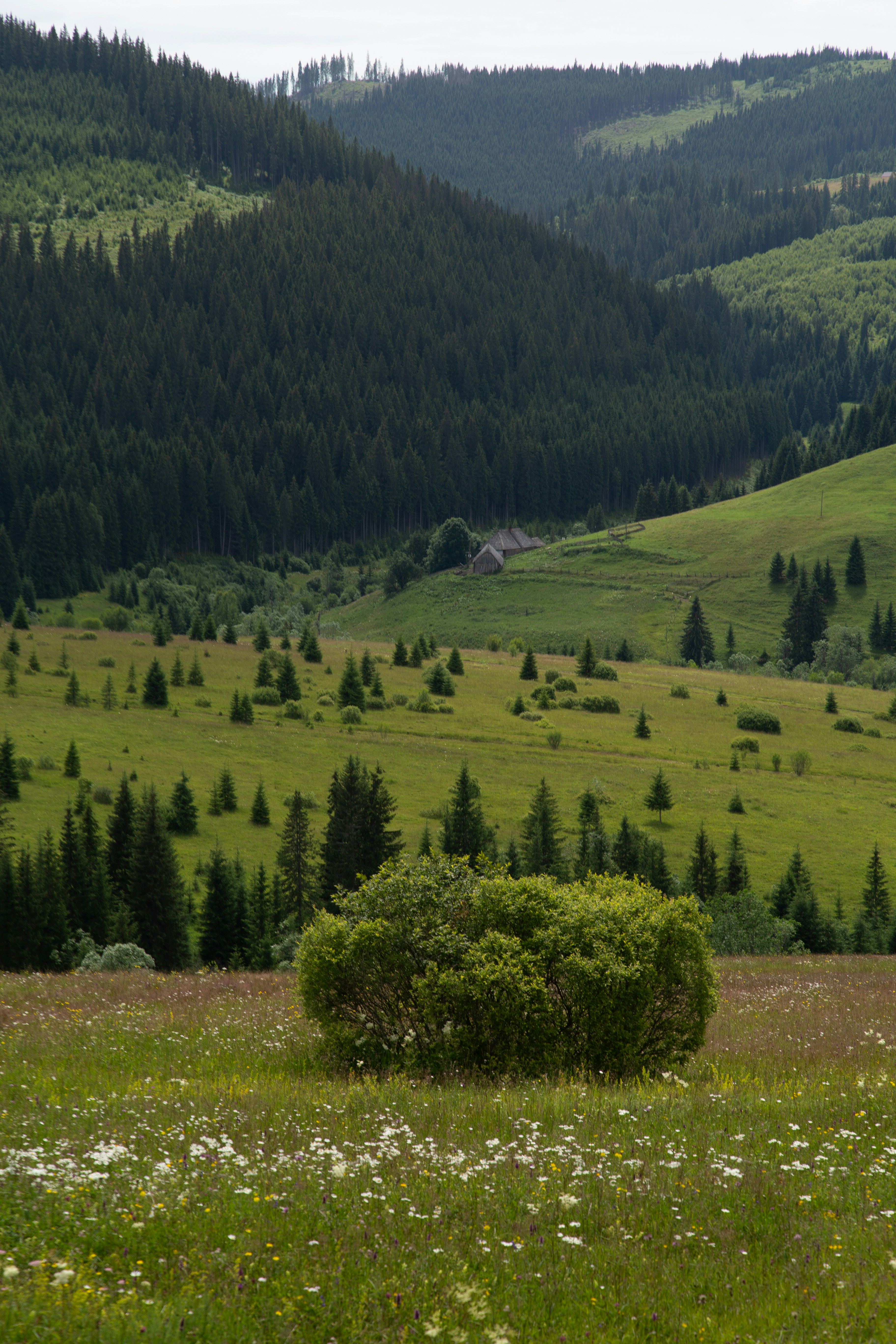 Photo by cameraobscura2000