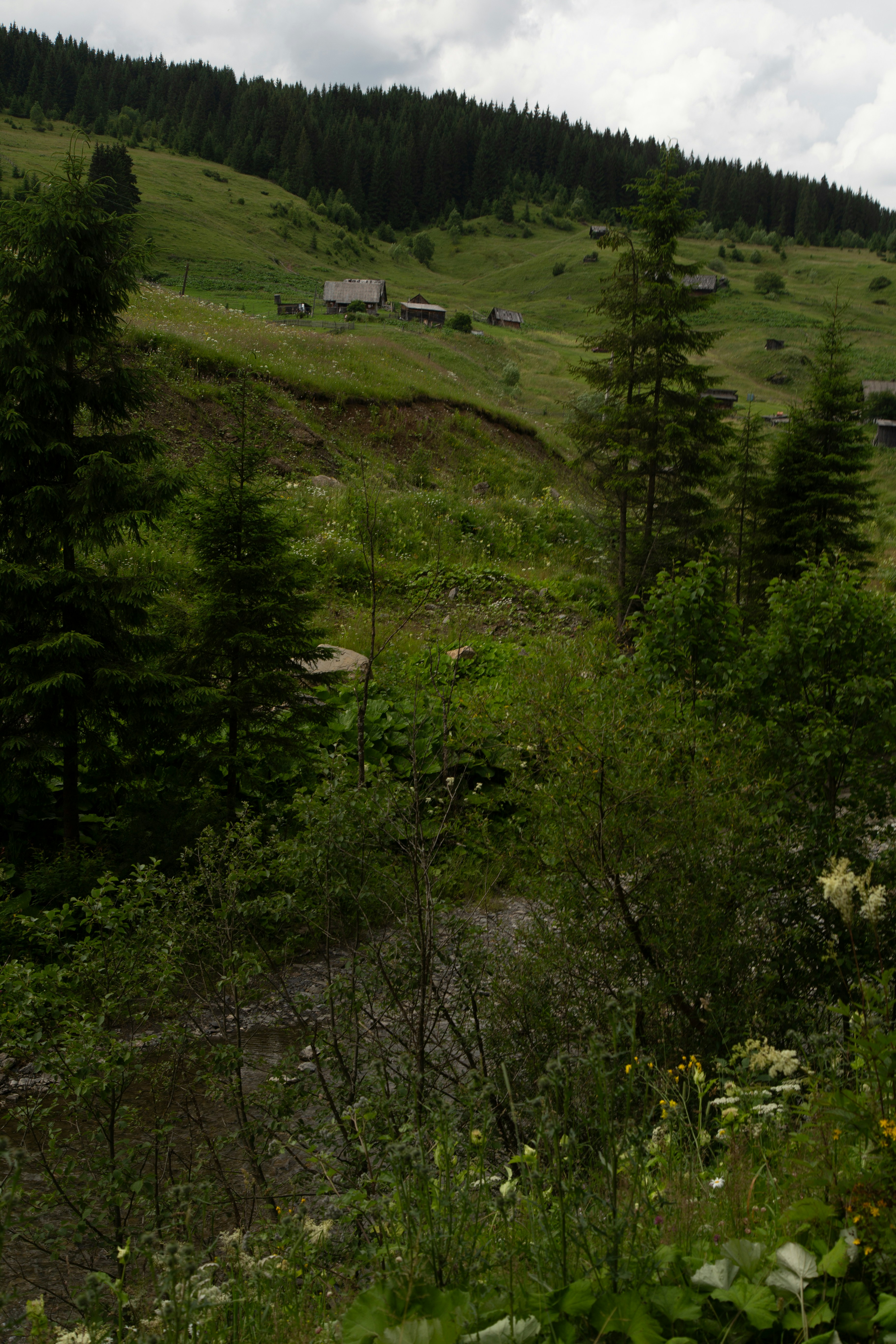 Photo by cameraobscura2000