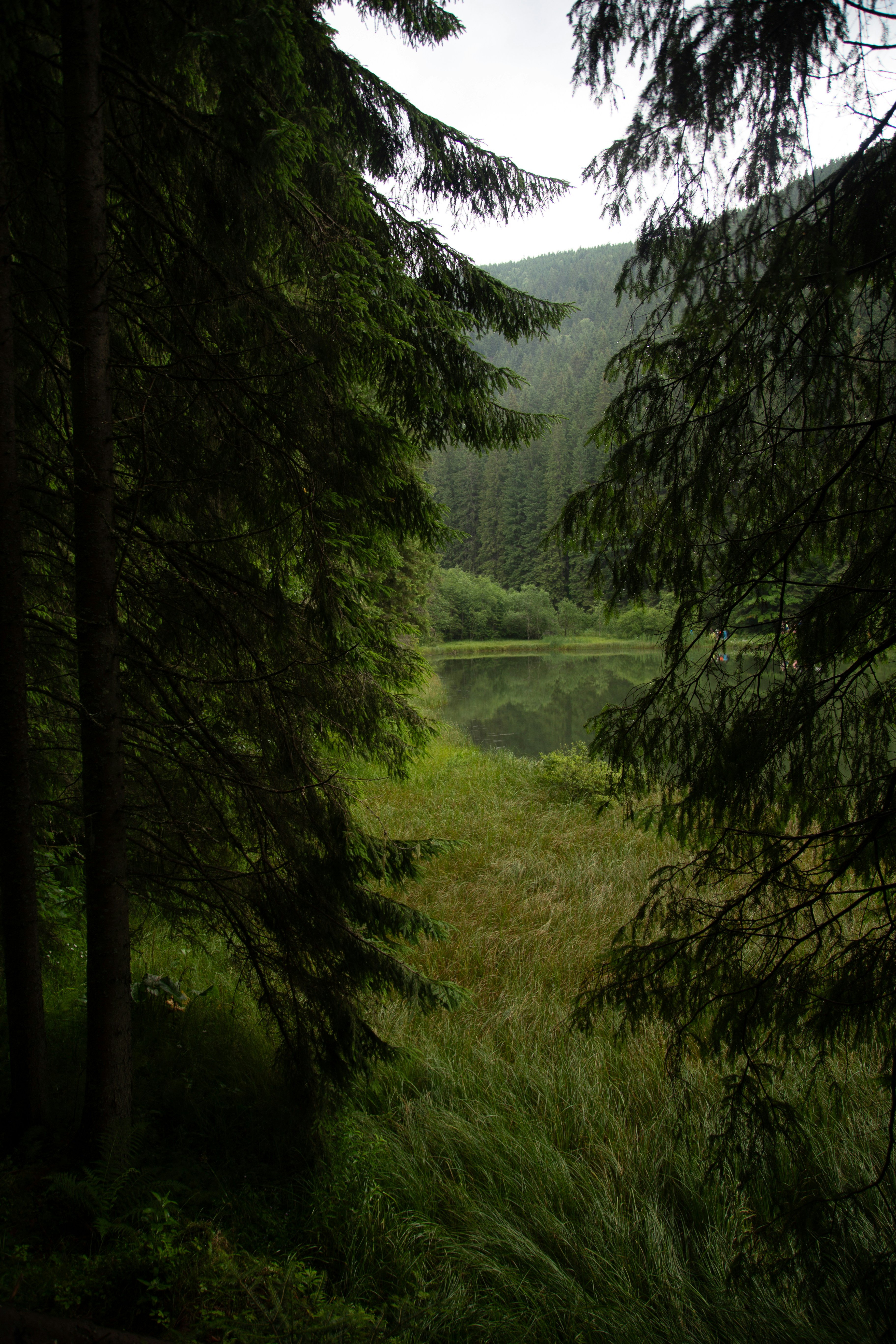 Photo by cameraobscura2000