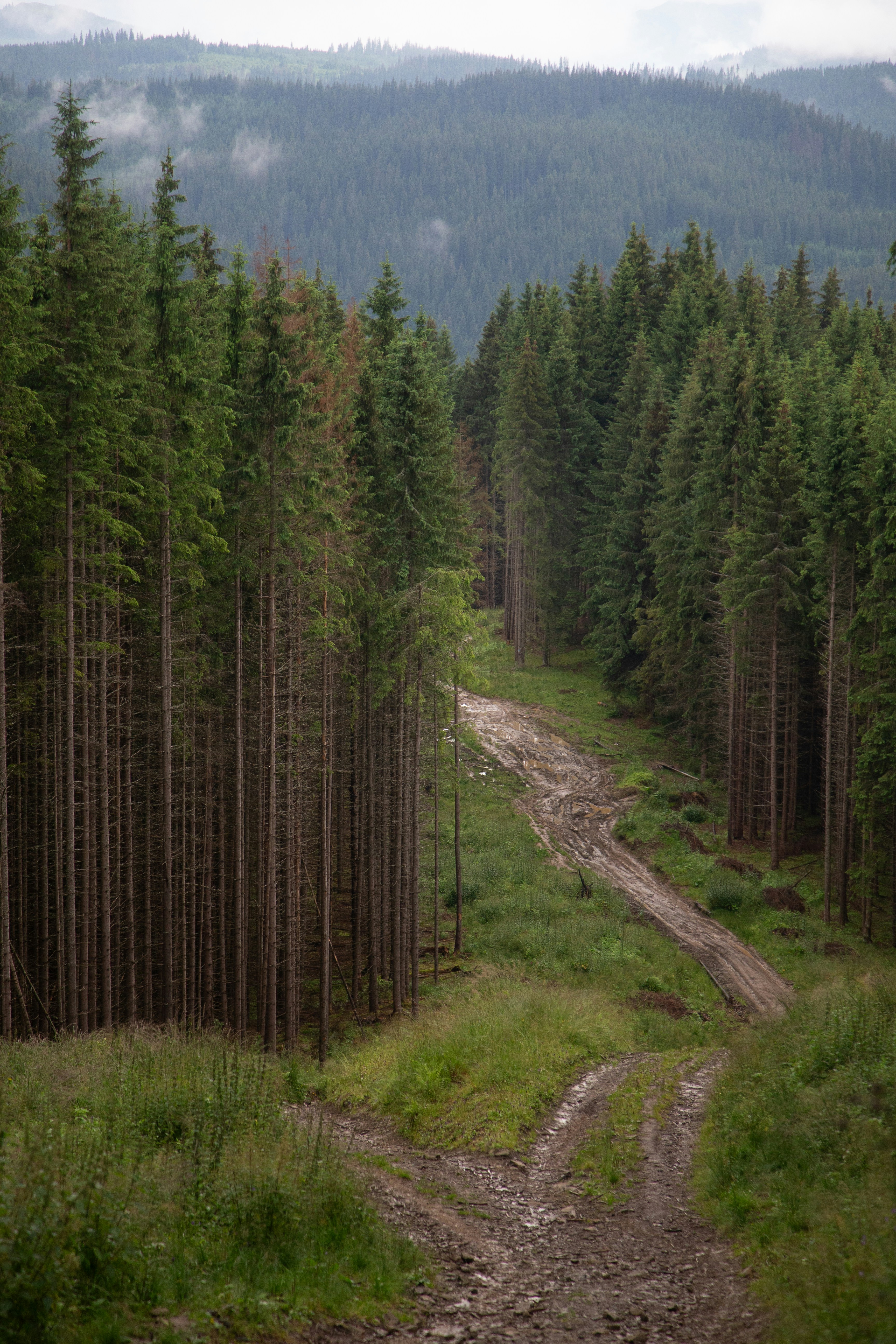 Photo by cameraobscura2000