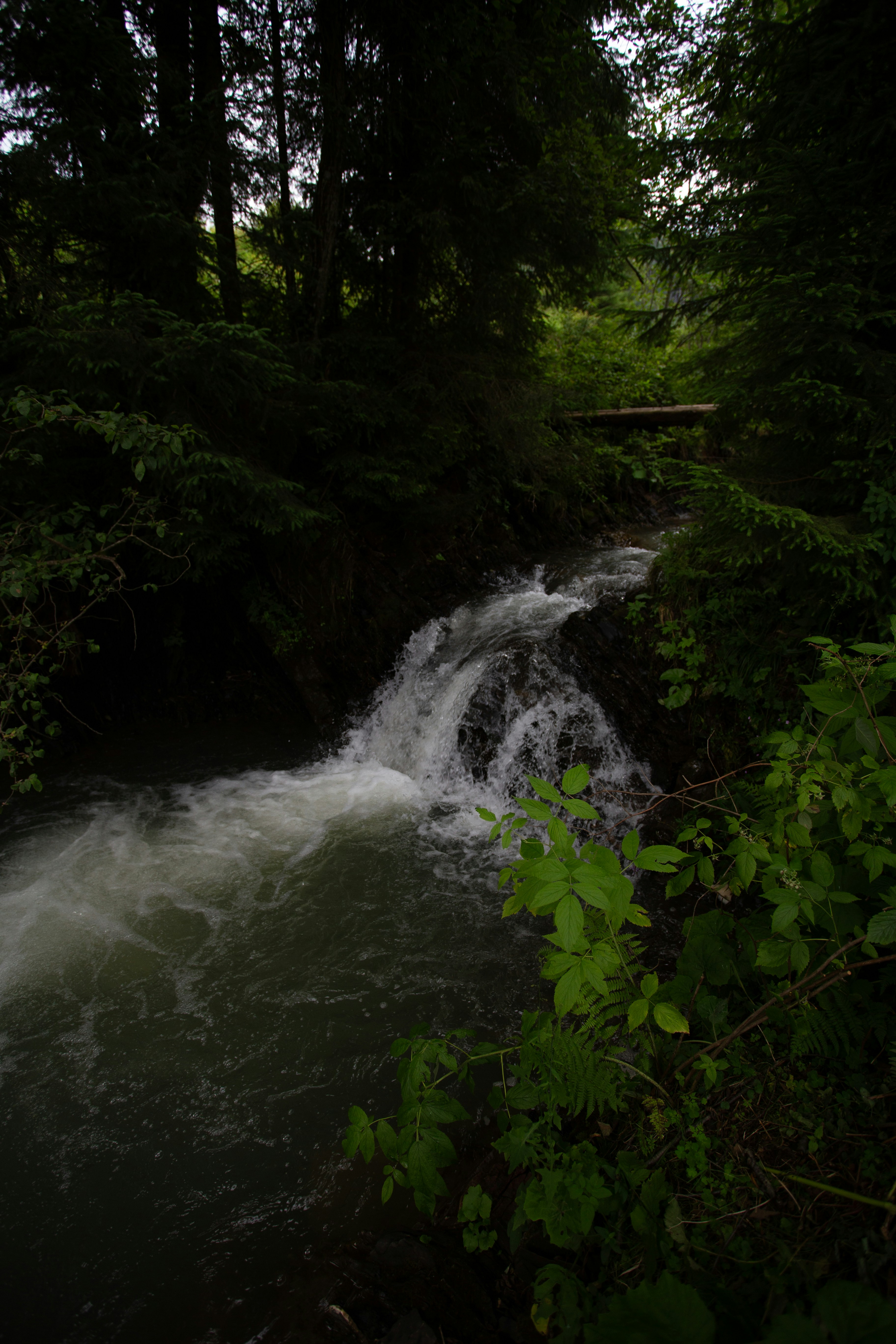 Photo by cameraobscura2000
