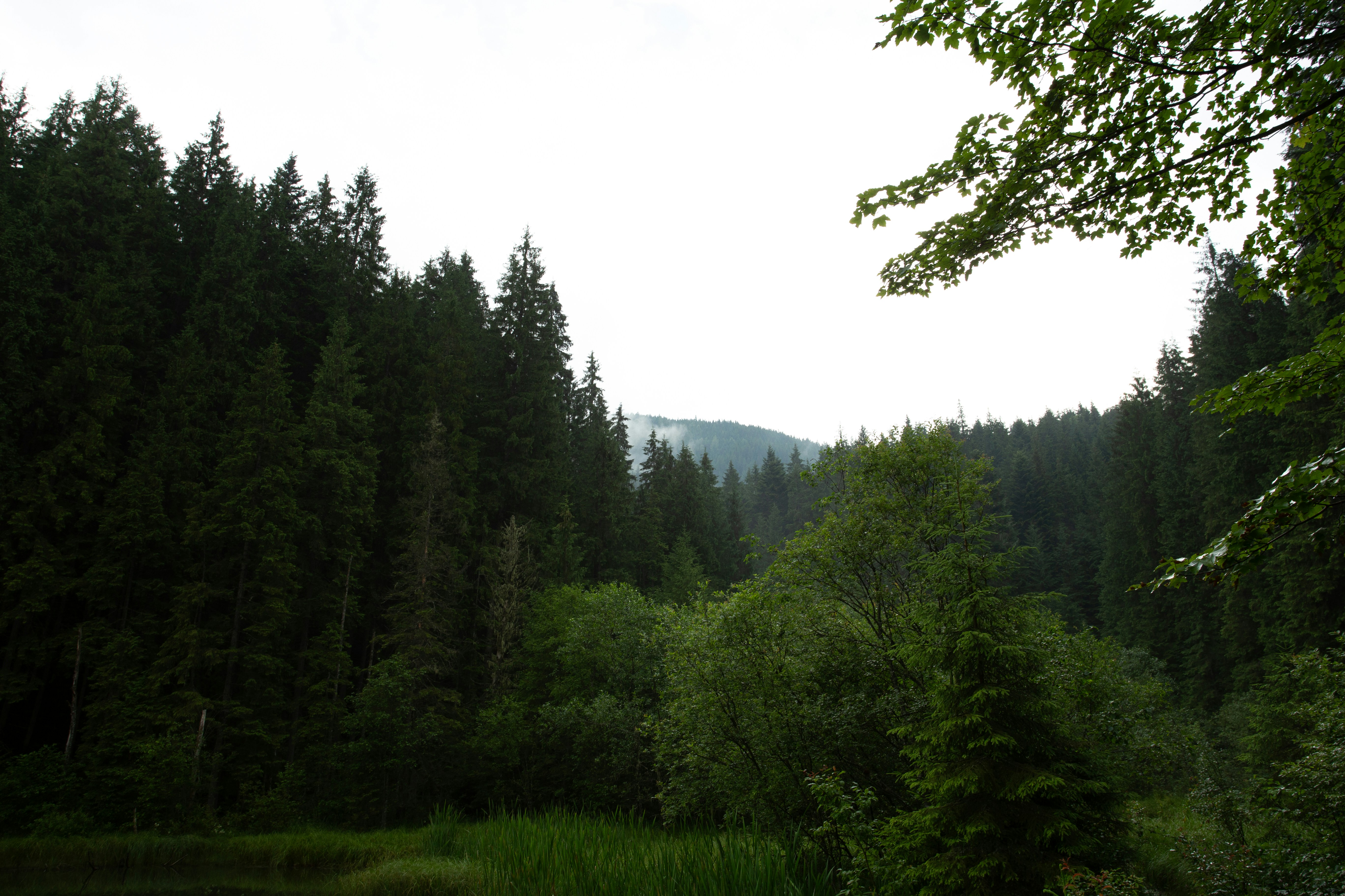 Photo by cameraobscura2000