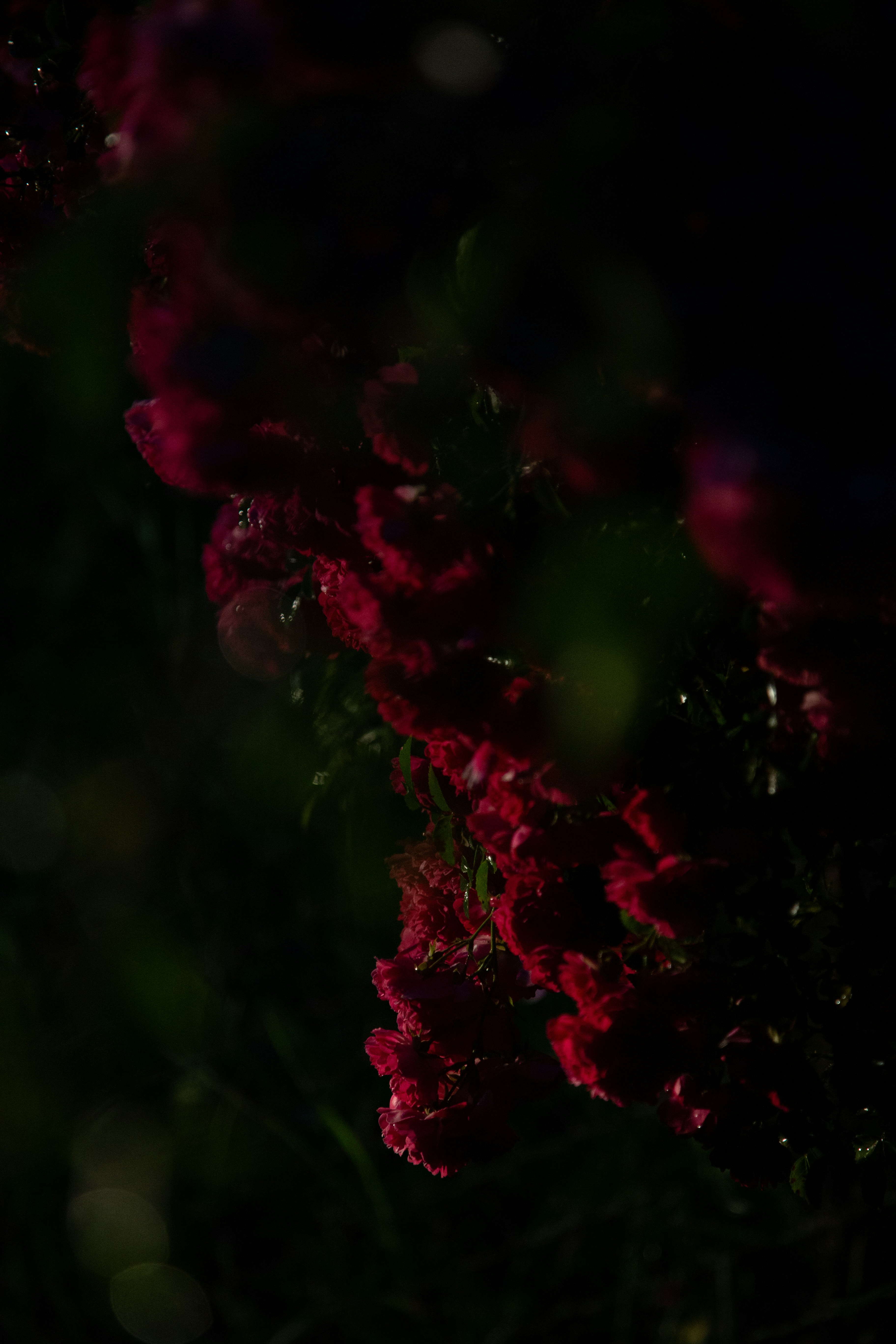 Photo by cameraobscura2000