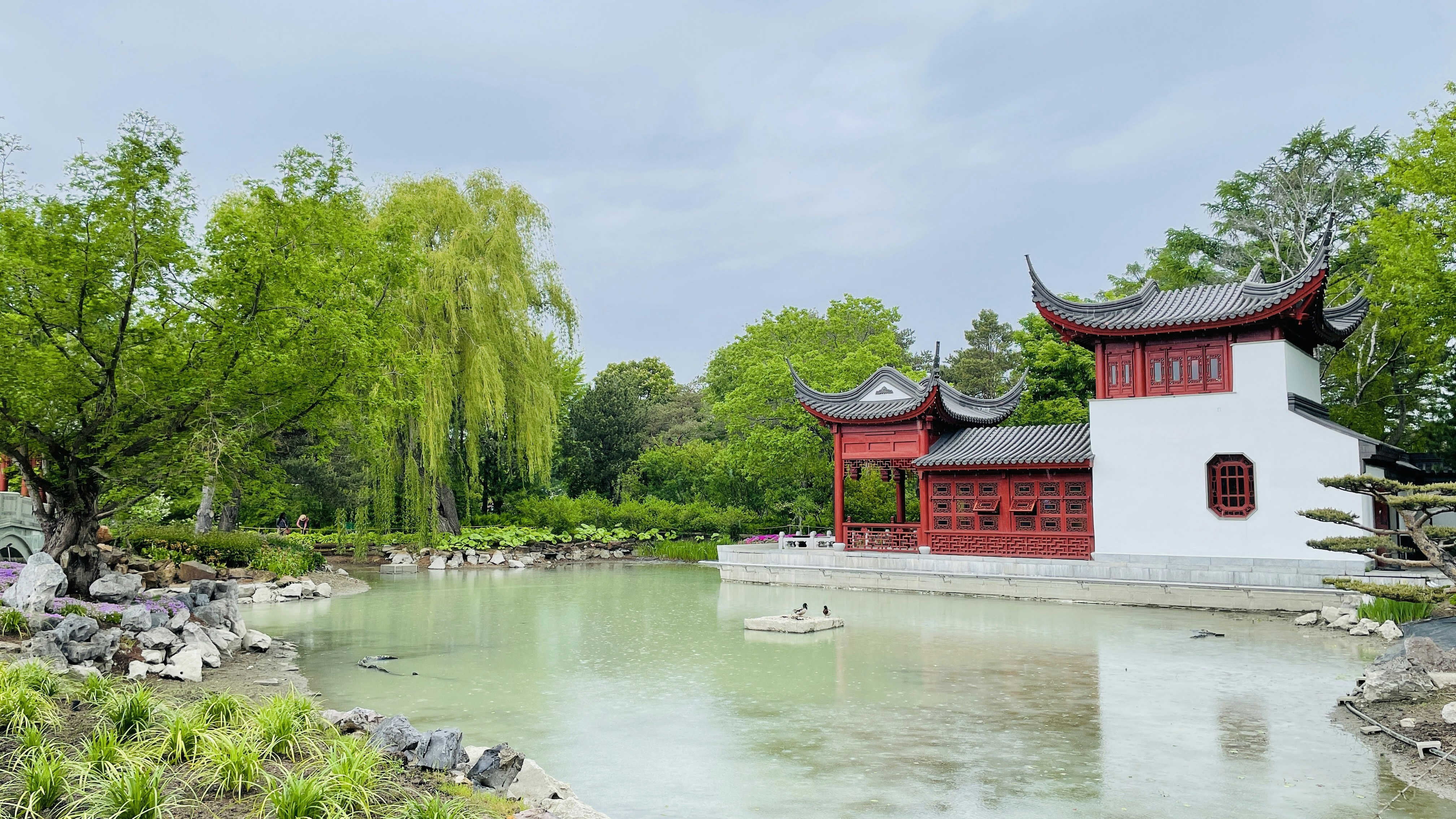 Photo by dipalprajapati96