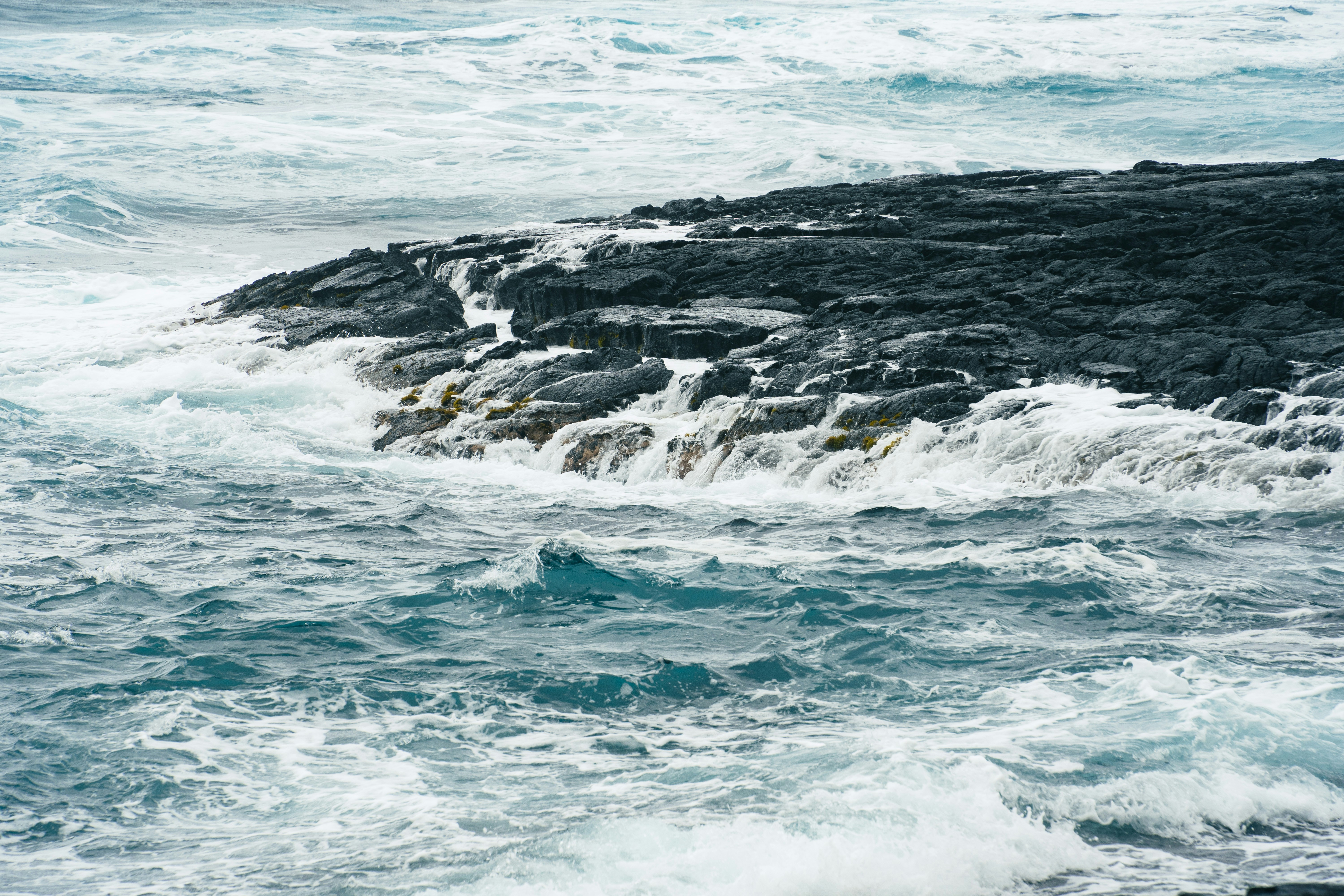 Photo by cjoyb_zheng