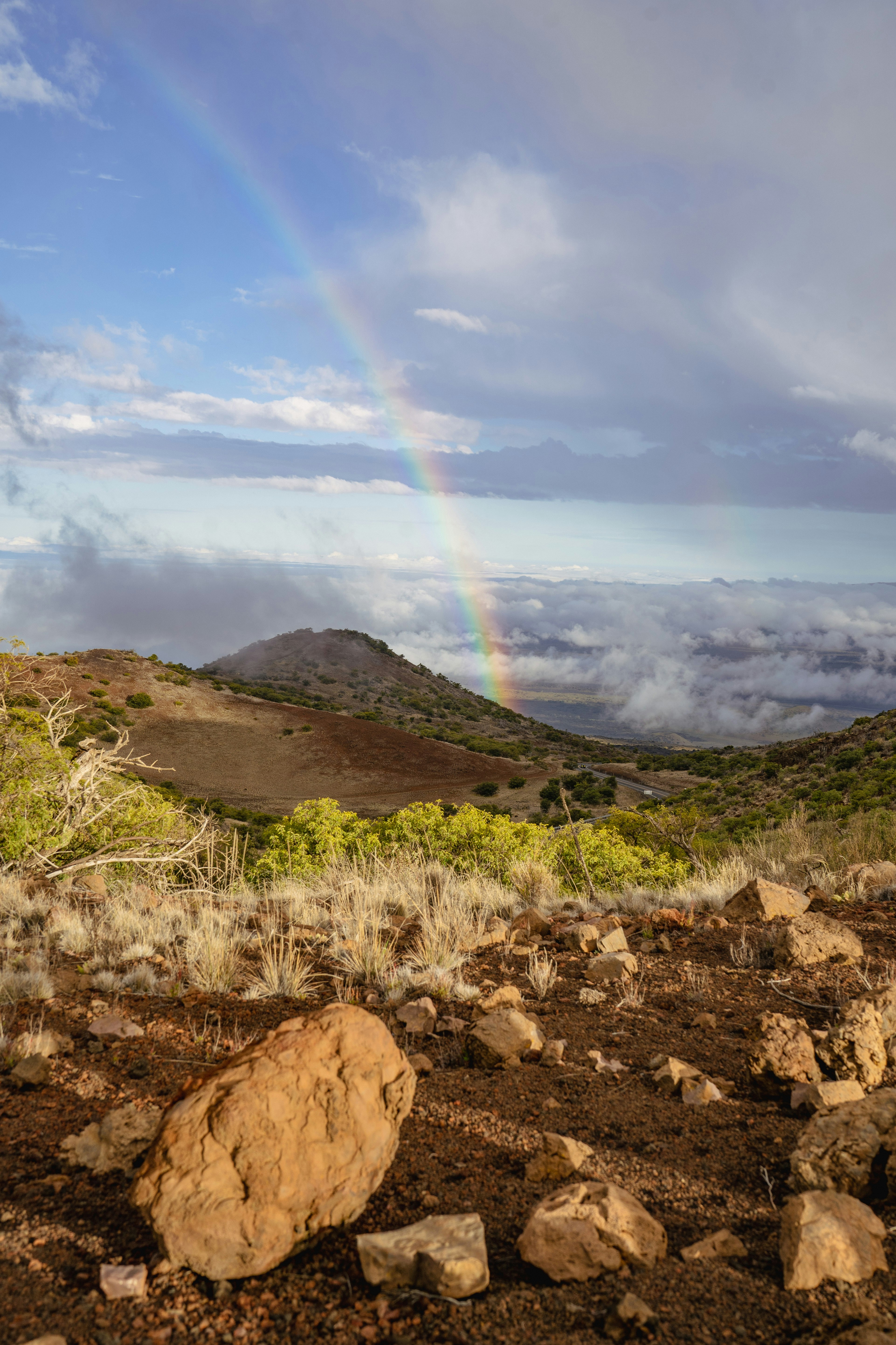 Photo by cjoyb_zheng