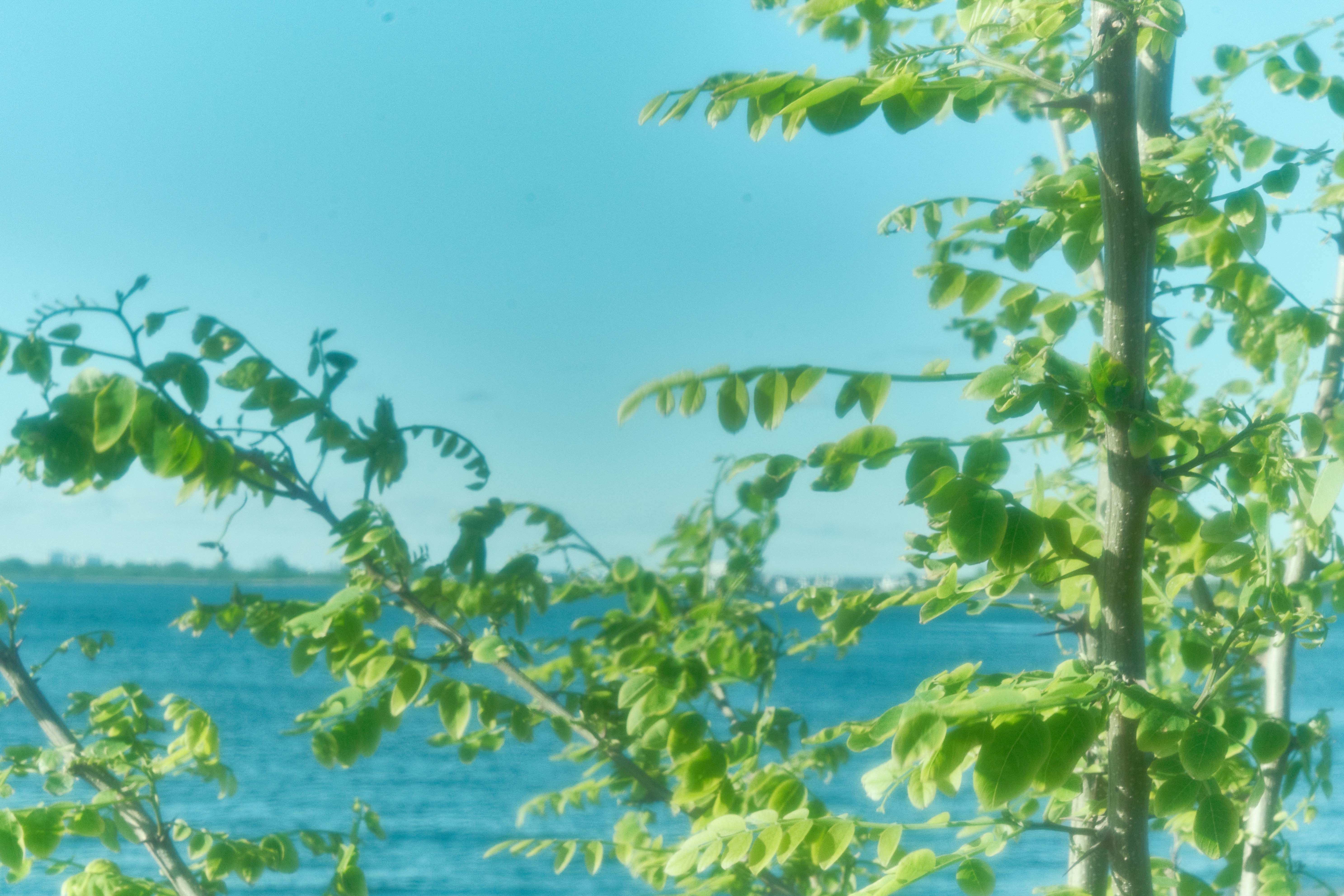 Photo by junyang0317