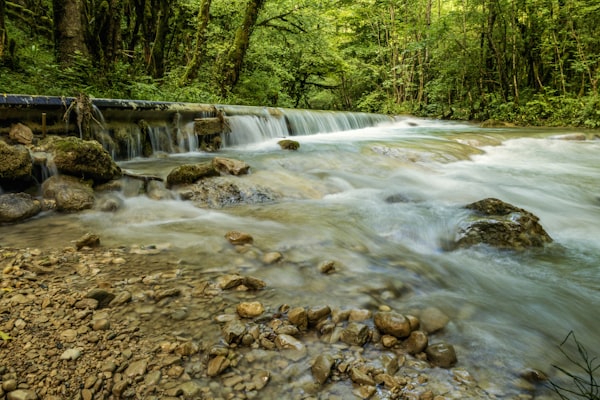 Molalla River running through lush forest and cascade in Oregon