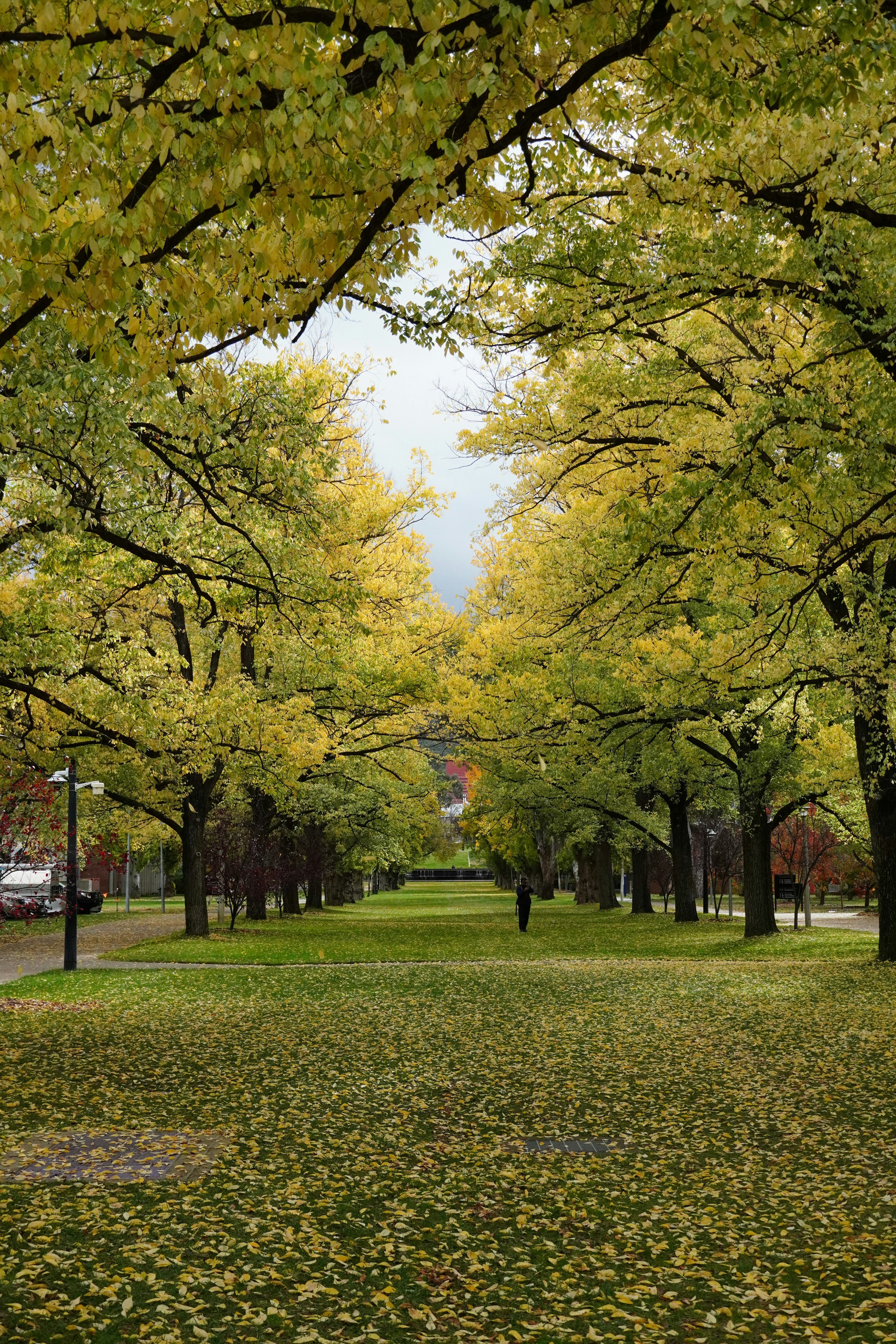 Photo by greenliustudio