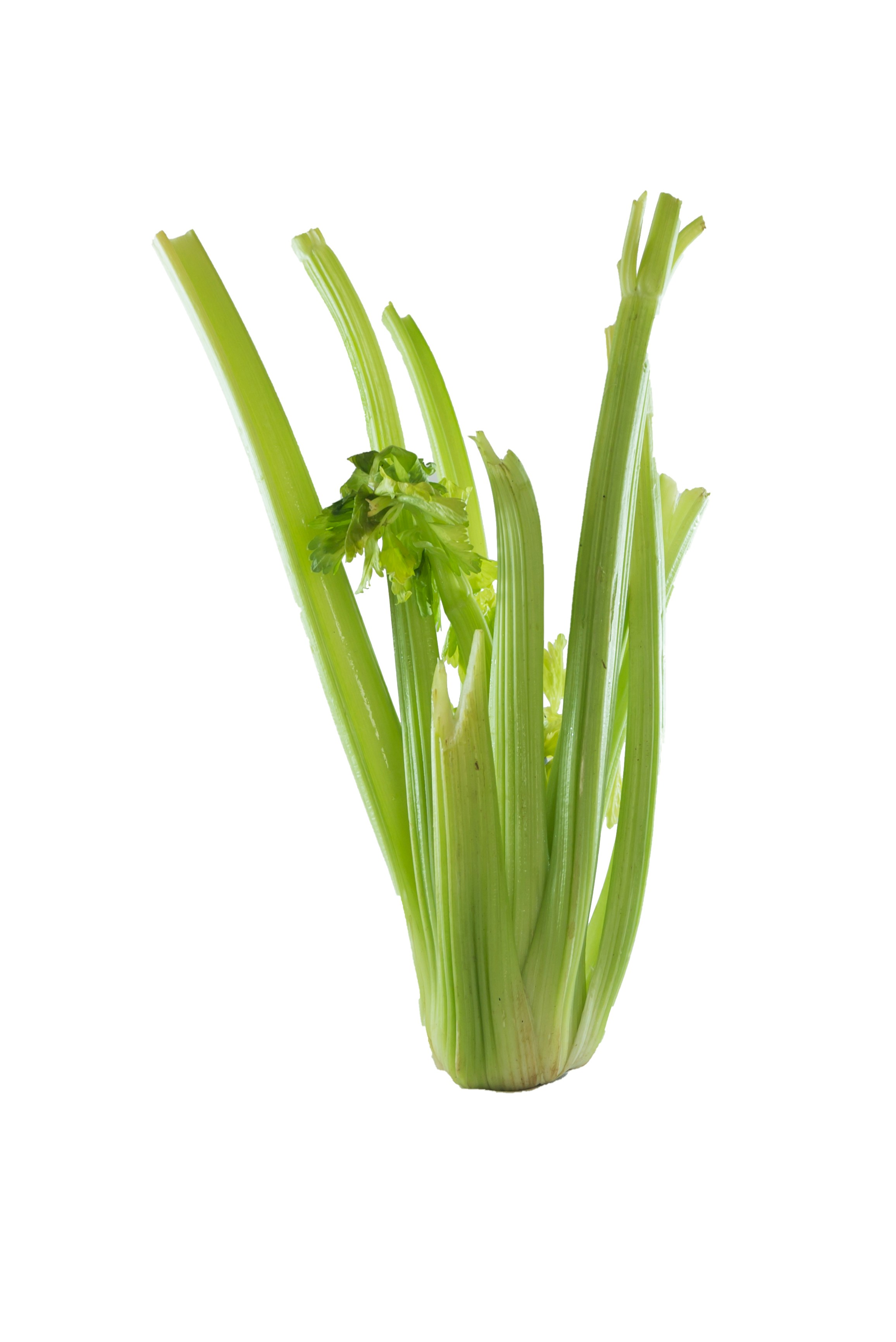 Photo by omarefreelancer