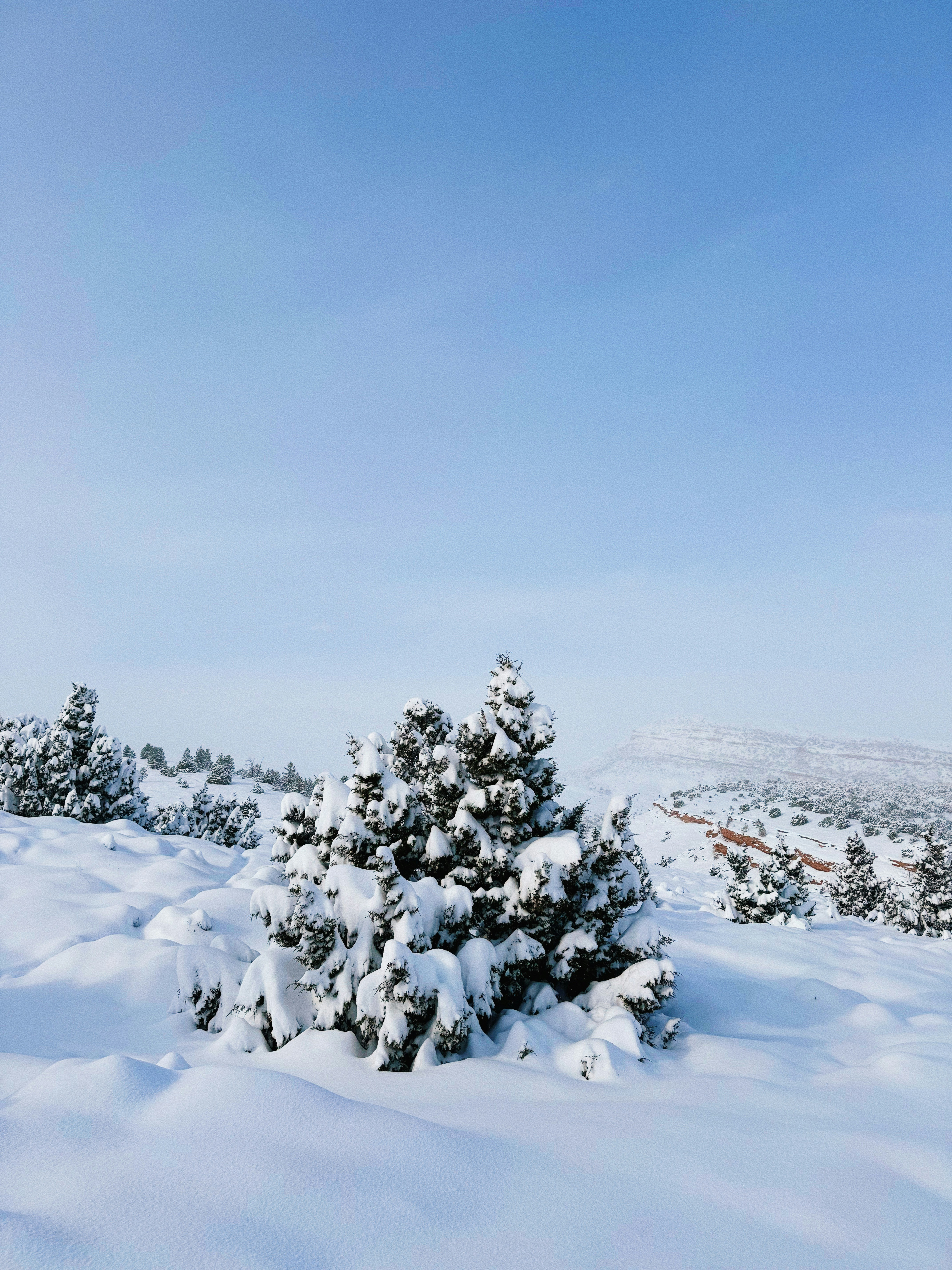 Photo by martinjernberg