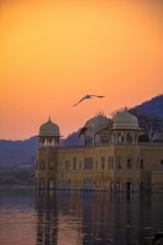 a bird flying over a building with a lake in front of it
