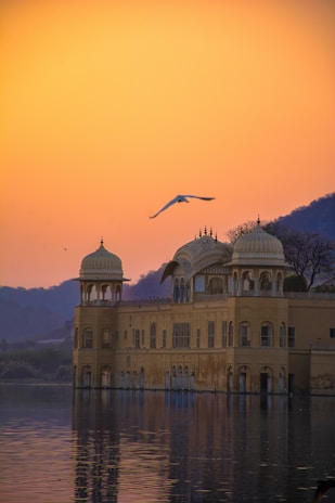 a bird flying over a building with a lake in front of it